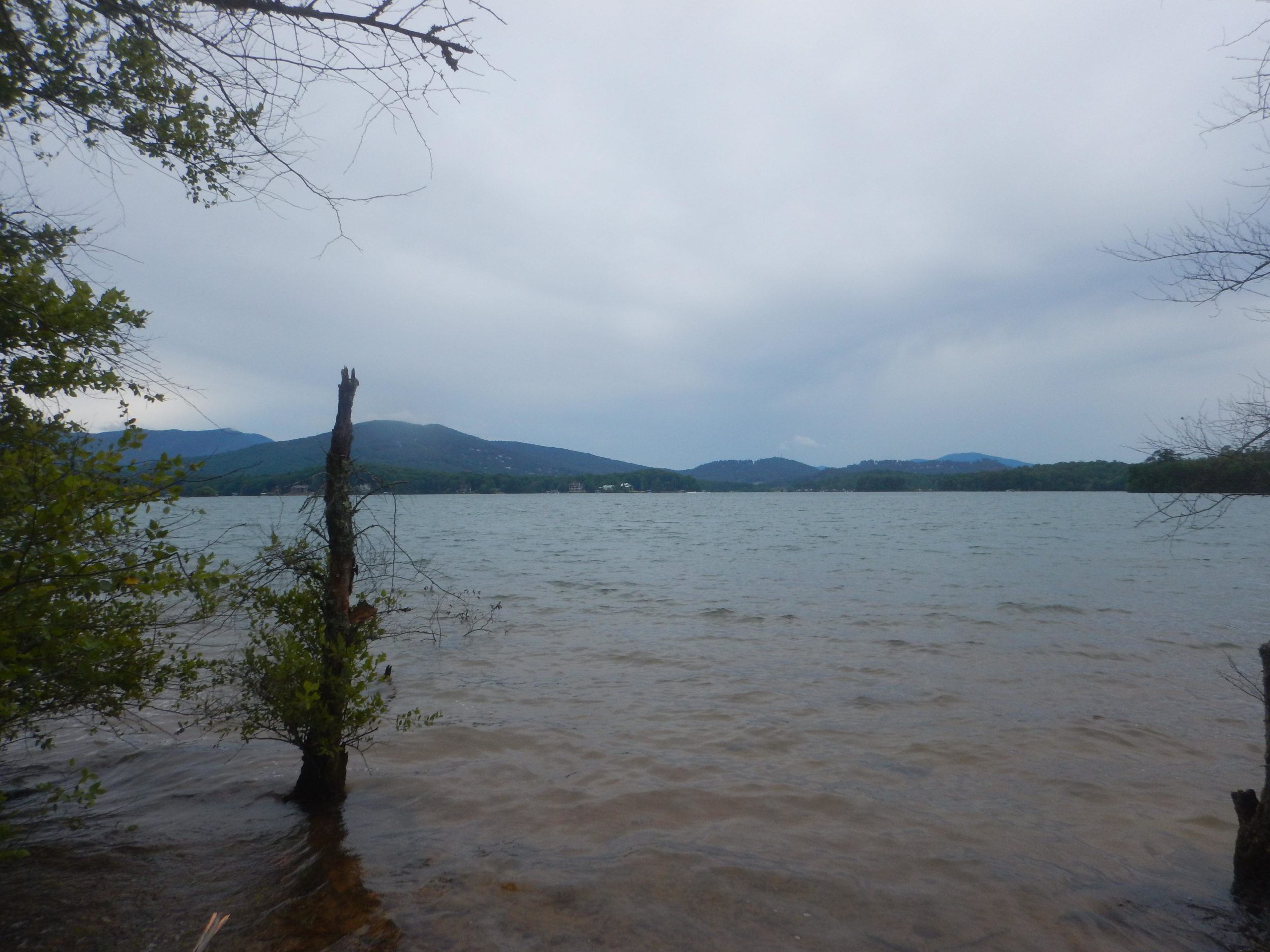 A tranquil lakeside view featuring calm waters under a cloudy sky, with distant hills visible in the background. In the foreground, a partially submerged tree stump and some greenery are present along the shoreline. Jack Rabbit Trails mountain bike trail.