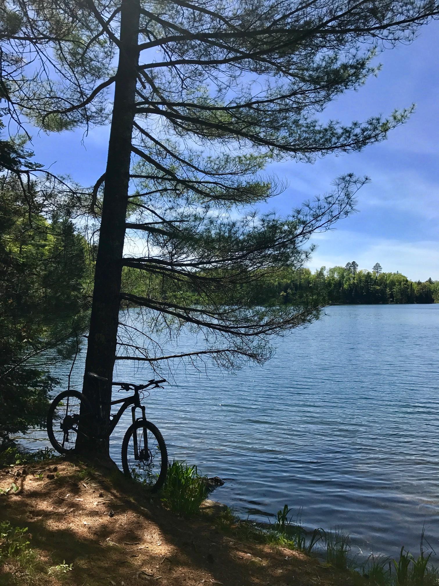 A mountain bike leaning against a tall pine tree near the edge of a calm lake, surrounded by lush greenery and a blue sky with scattered clouds. Sunlight filters through the branches, casting dappled shadows on the ground. Rock Lake mountain bike trail.