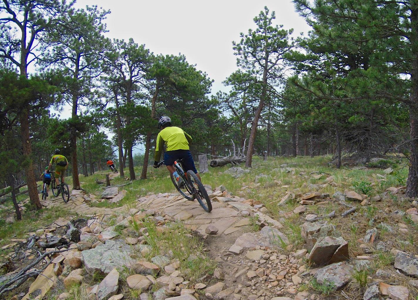 A group of four mountain bikers riding on a rocky trail through a dense forest of pine trees. The terrain includes uneven stones, grass, and scattered rocks, creating a natural setting for outdoor biking. The bikers are wearing colorful jerseys and helmets, illustrating an active outdoor lifestyle. The sky is overcast, adding a sense of adventure to the scene. Heil Valley Ranch mountain bike trail.