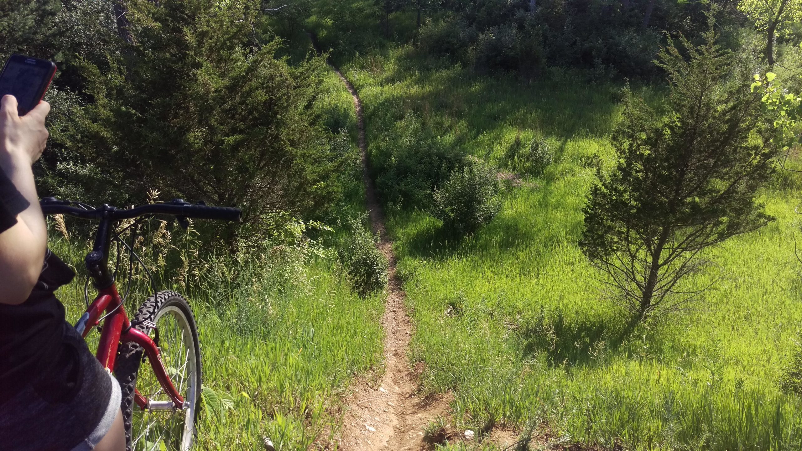 A person holding a smartphone stands next to a red mountain bike on a grassy trail surrounded by lush greenery and trees, leading down a path that winds through the landscape. Raceway Woods mountain bike trail.