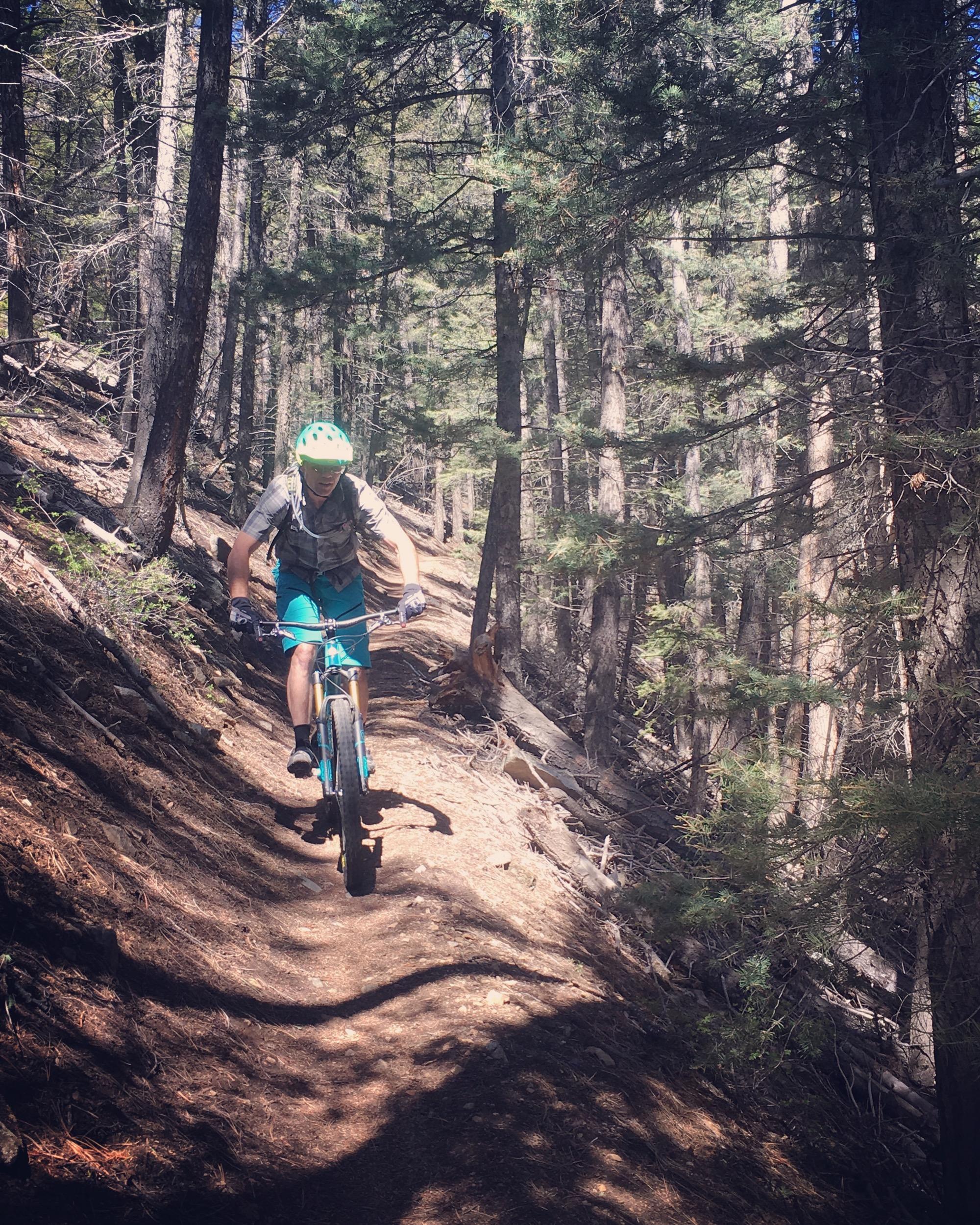 A mountain biker navigating a narrow dirt trail surrounded by trees in a forested area. The rider is wearing a green helmet and a backpack, focusing on the trail ahead. Sunlight filters through the trees, casting shadows on the path. Rainbow Trail: Methodist Mountain Thd to Bear Creek Thd mountain bike trail.