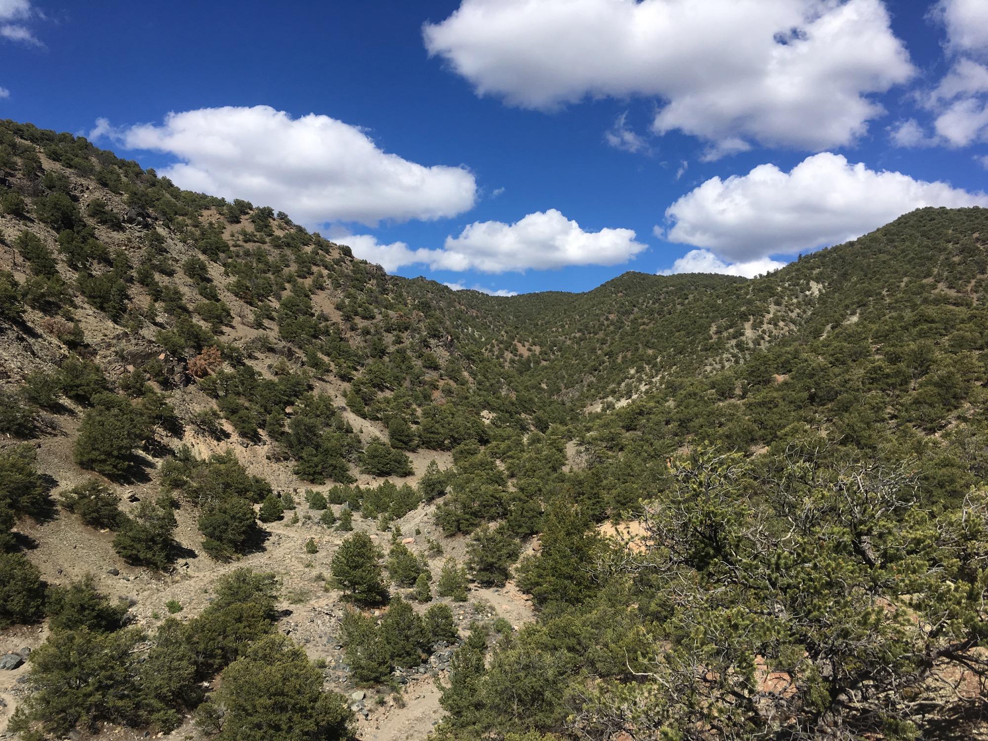 A scenic view of rolling hills covered in evergreen trees, under a bright blue sky with fluffy white clouds. The landscape features a mix of rocky terrain and greenery, illustrating a tranquil natural setting. North Backbone mountain bike trail.