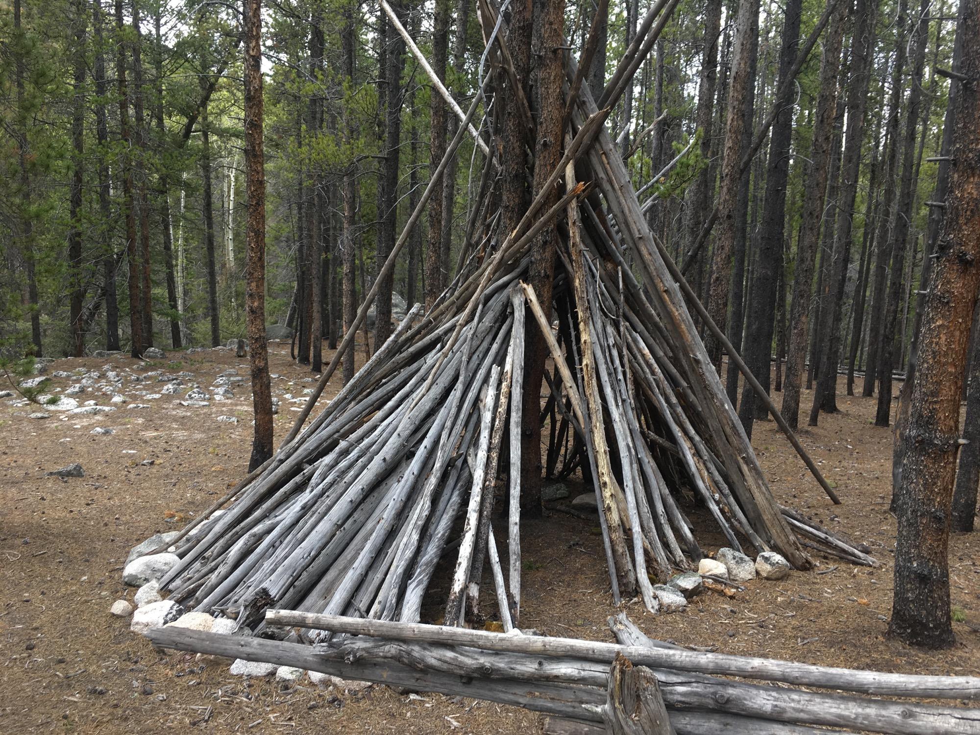 A rustic structure made of logs and branches, resembling a teepee, situated in a forest setting with tall pine trees and a carpet of pine needles on the ground. Rocks are placed at the base of the structure, and the surrounding area features scattered stones and natural forest floor elements. Colorado Trail: Mt. Shavano thd to Chalk Creek thd mountain bike trail.