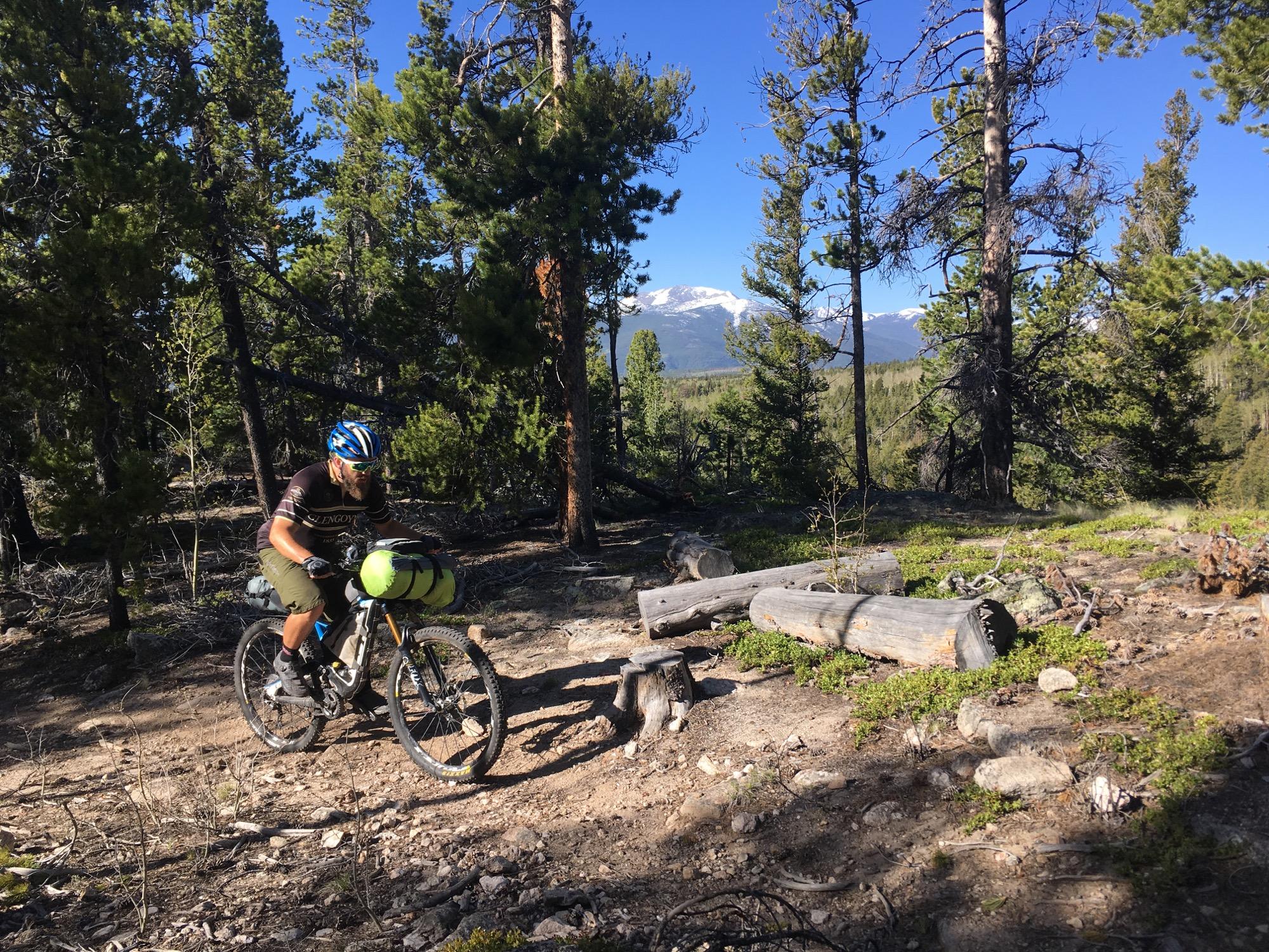 A mountain biker with a large green backpack navigates a dirt path surrounded by tall pine trees and a mountainous landscape in the background. The sky is clear and blue. Colorado Trail: Mt. Shavano thd to Chalk Creek thd mountain bike trail.