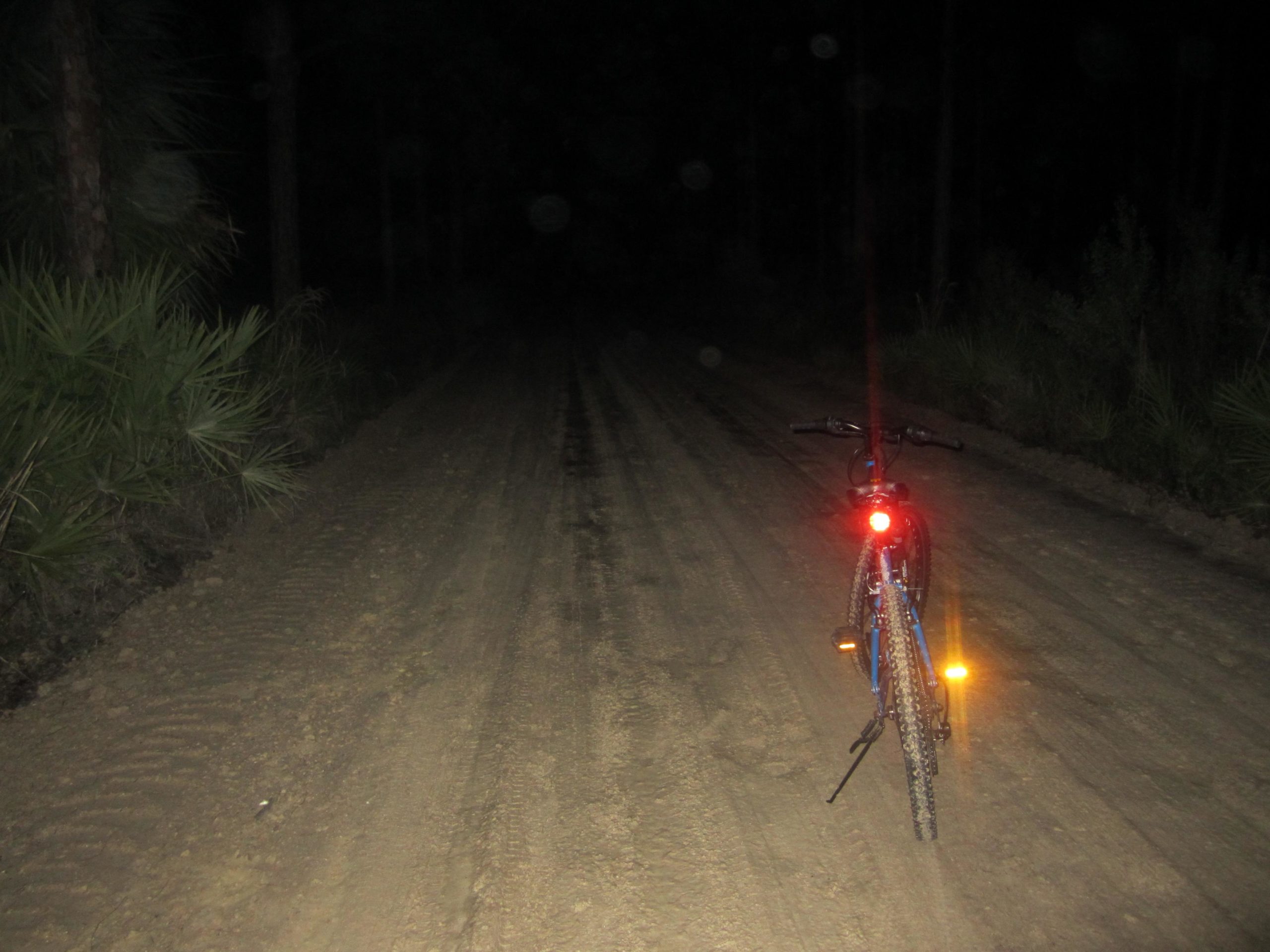 A mountain bike positioned on a dirt road at night, illuminated by its red rear light. Surrounding vegetation is visible in the darkness, with hints of palm leaves and tall trees lining the path. The road shows tire tracks and a sandy texture, suggesting a rural, natural environment. Tuckers Grade Out Tram Grade Back mountain bike trail.