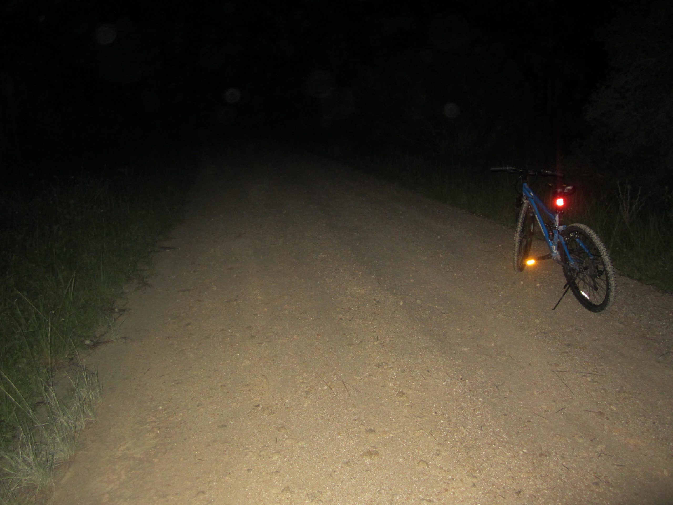 A blue mountain bike resting on a dirt road at night, with dim ambient light. The bike has a red light attached to the rear and is surrounded by tall grass on the left side of the path. The road extends into darkness ahead. Tuckers Grade Out Tram Grade Back mountain bike trail.