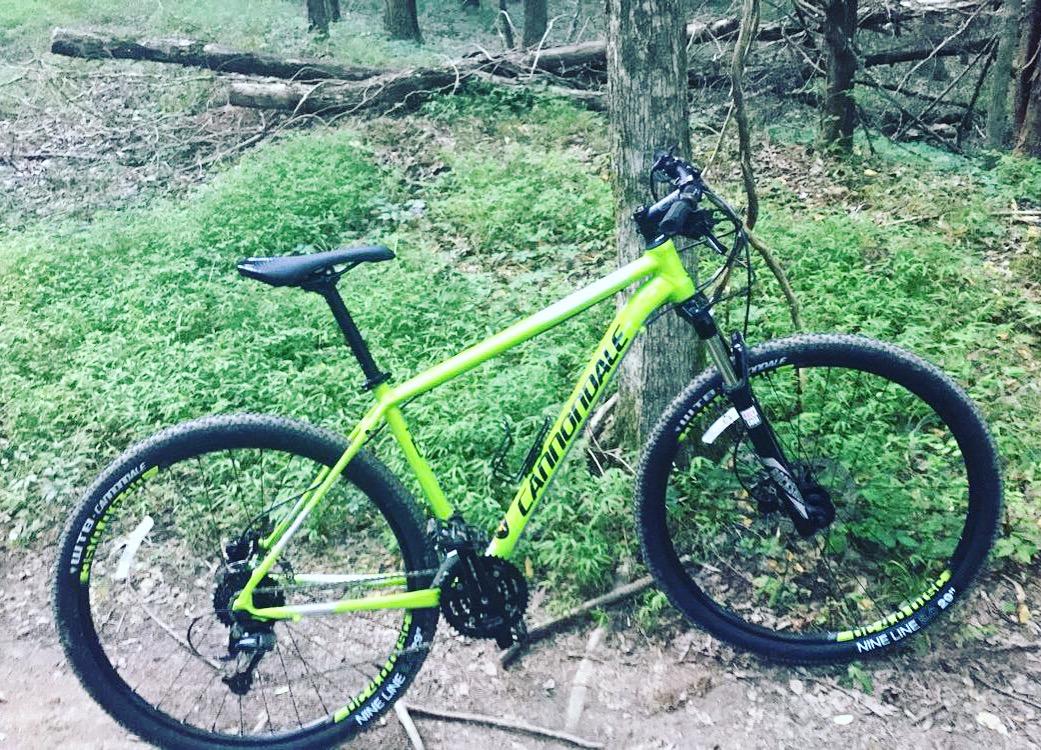 Cannondale Trail 4: A bright green mountain bike parked on a dirt trail surrounded by lush green grass and trees in a wooded area.