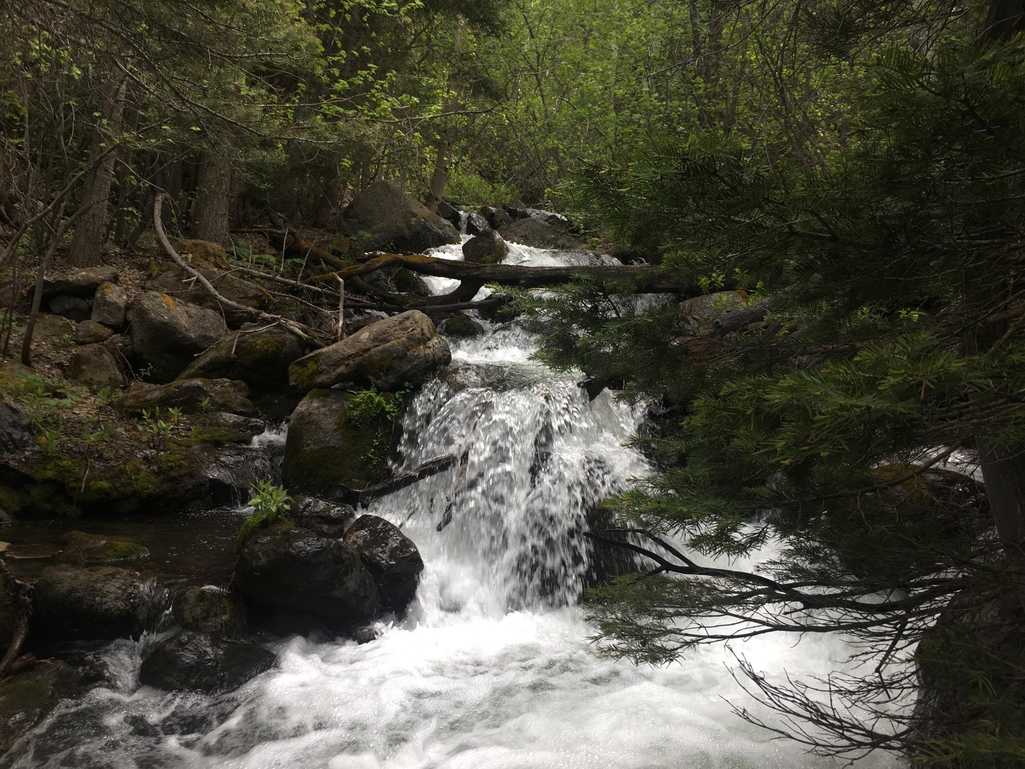A picturesque view of a small waterfall cascading over rocks in a forested area. Surrounding the waterfall are lush green trees and soft foliage, creating a serene and tranquil natural setting. Rainbow Trail: Bear Creek Thd to Kerr Gulch Thd mountain bike trail.