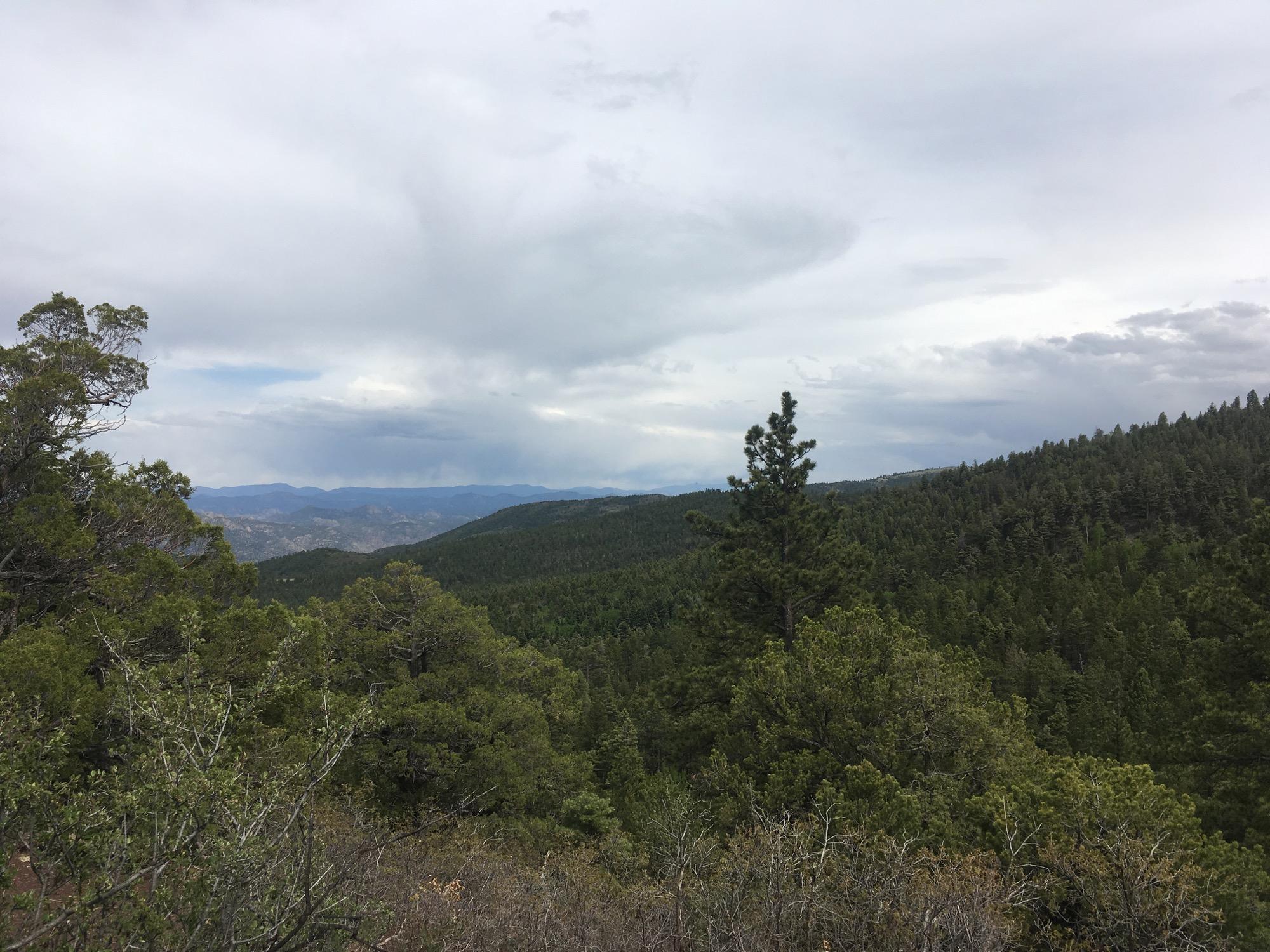 A scenic view of a lush forested landscape under a cloudy sky, with rolling hills and distant mountains visible in the background. The foreground features various trees, predominantly evergreens, creating a natural, tranquil setting. Rainbow Trail: Bear Creek Thd to Kerr Gulch Thd mountain bike trail.
