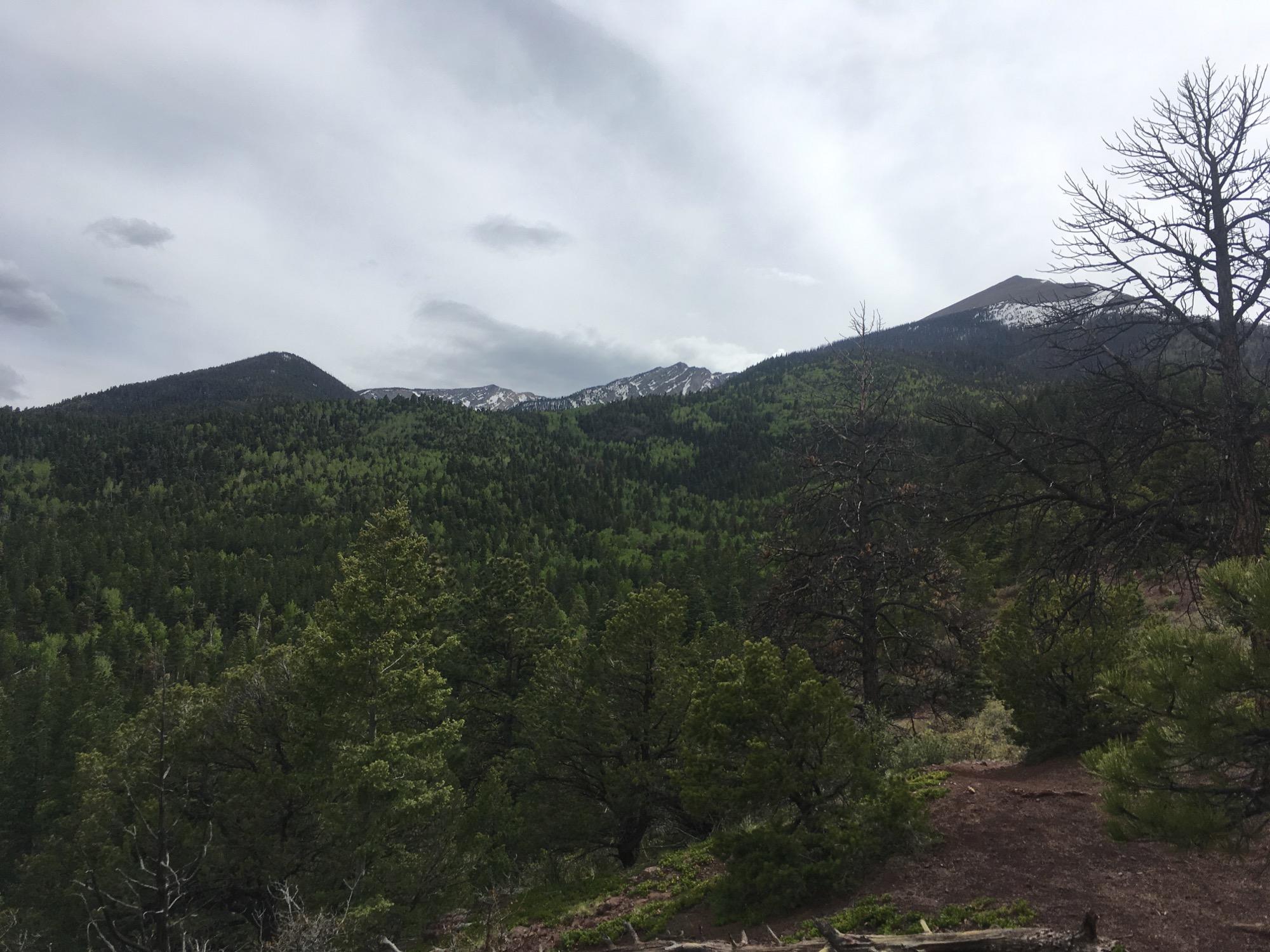 A scenic view of mountains with snow-capped peaks in the distance, surrounded by lush green forests under an overcast sky. Rainbow Trail: Bear Creek Thd to Kerr Gulch Thd mountain bike trail.