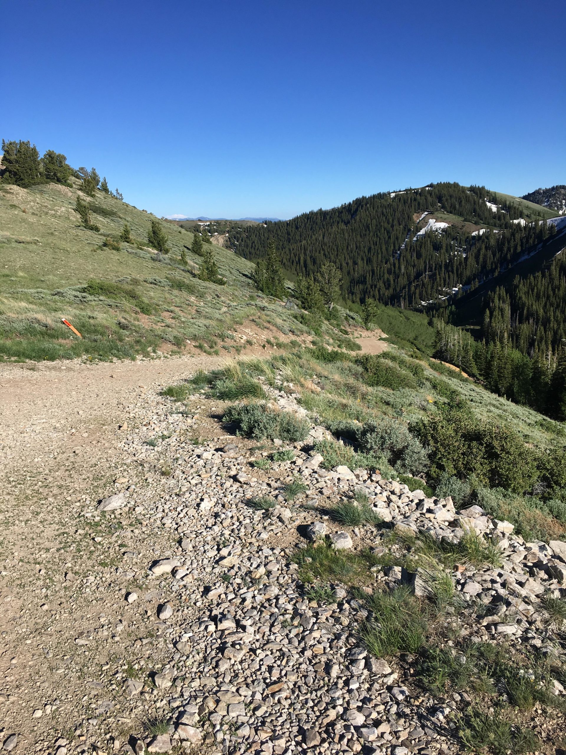 A scenic view of a rocky trail leading through lush green hills and dense forests under a clear blue sky. The trail is lined with small rocks and vegetation, while the landscape slopes down towards a forested area in the distance. Snow-capped mountains can be faintly seen on the horizon. Scott's Bypass mountain bike trail.