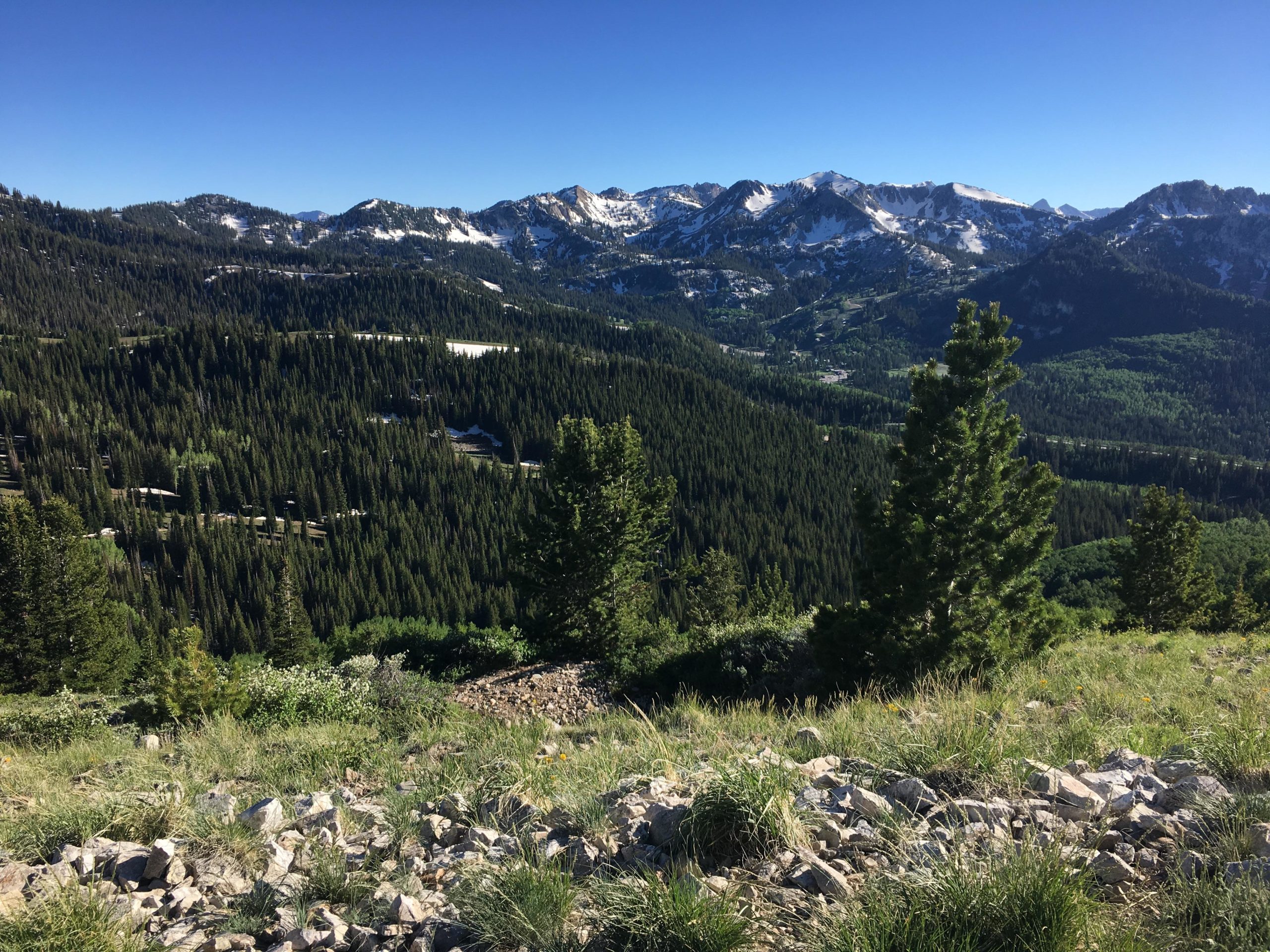 A panoramic view of a mountainous landscape featuring green pine forests, rocky terrain, and snow-capped peaks under a clear blue sky. The scene captures the beauty of nature in a serene setting, with vibrant greenery contrasting the rugged mountains in the background. Scott's Bypass mountain bike trail.