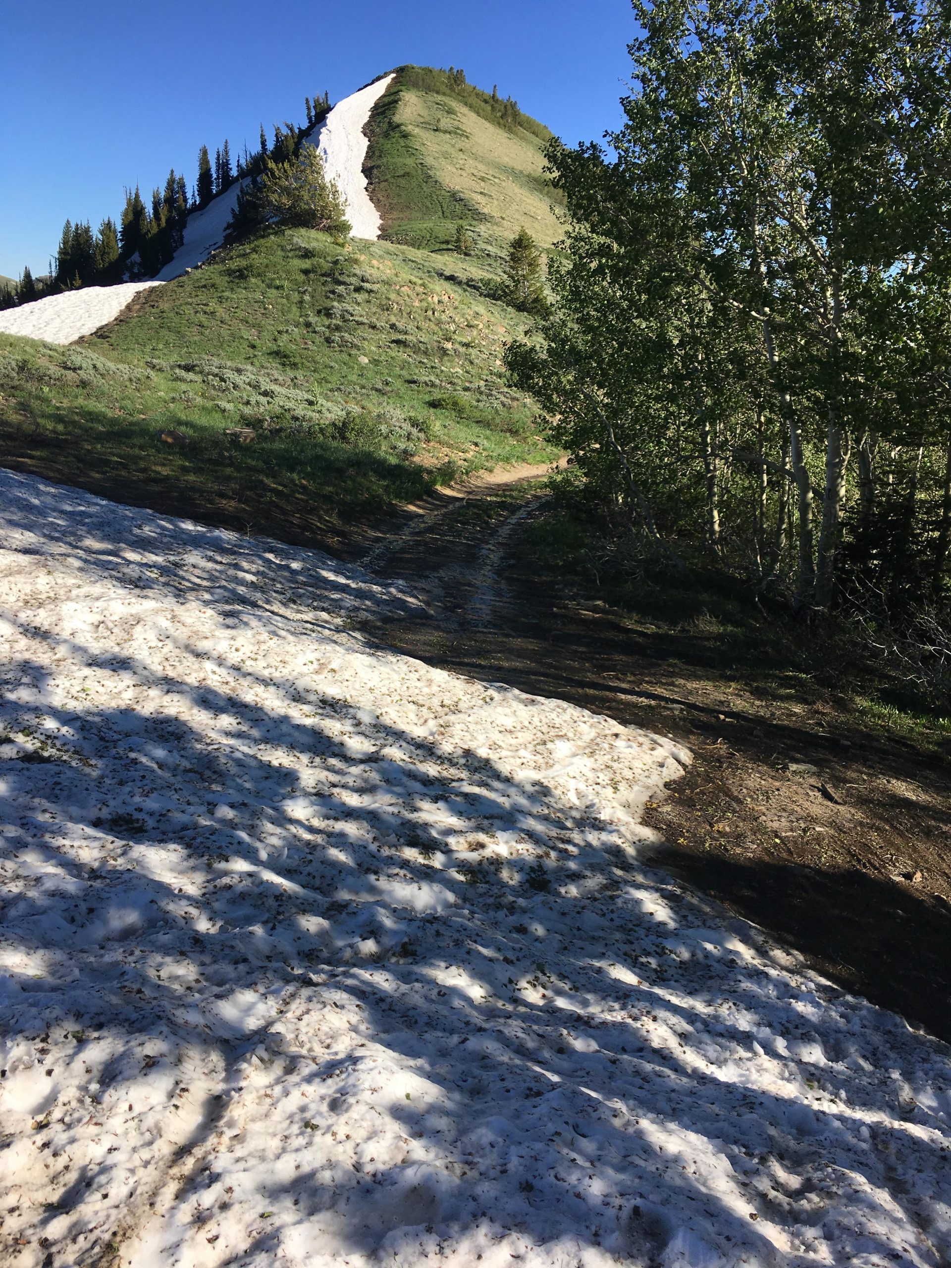 A scenic view of a grassy hillside with a patch of remaining snow on one side, under a clear blue sky. The foreground features a winding dirt path leading towards the hill, bordered by trees. The sunlight casts shadows on the snow, creating a contrast between the greenery and the icy surface. Scott's Bypass mountain bike trail.