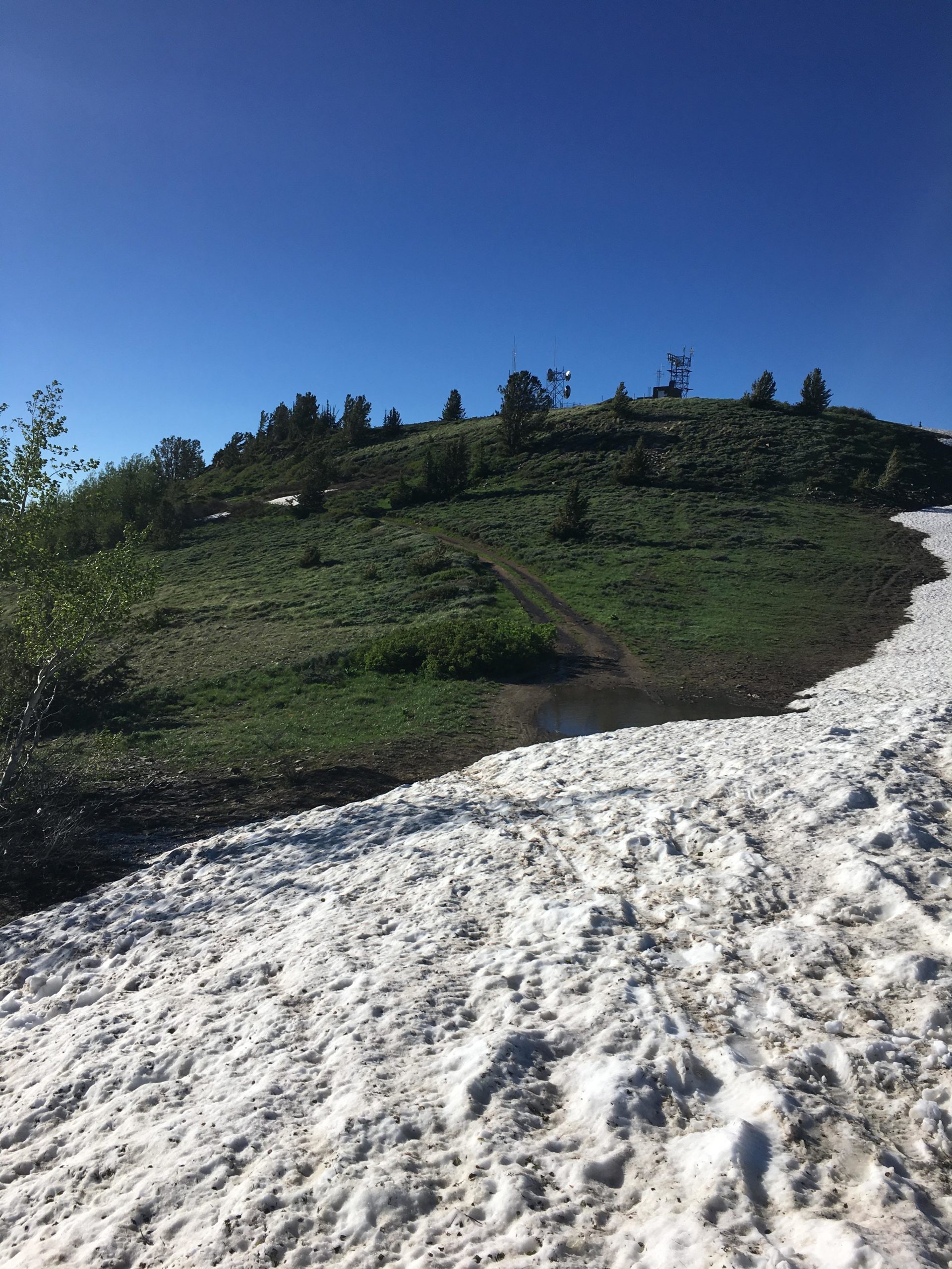 A grassy hillside with patches of snow in the foreground and a clear blue sky above. In the distance, communication towers are visible at the top of the hill, surrounded by trees. A dirt path leads up the hill, with a small puddle near the base of the snow. Scott's Bypass mountain bike trail.