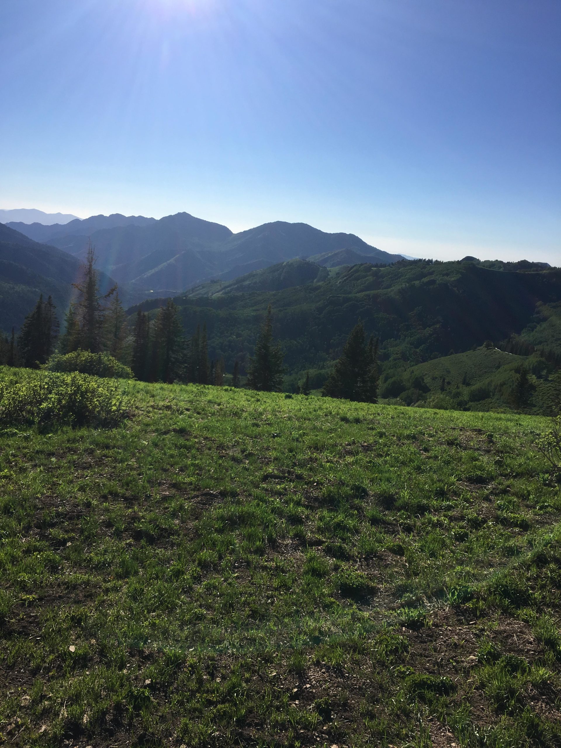 A panoramic view of a mountainous landscape under a clear blue sky, with sun rays illuminating the scene. The foreground features green grass and shrubs, while the backdrop showcases rolling hills and peaks in the distance, suggesting a serene and natural environment. Scott's Bypass mountain bike trail.