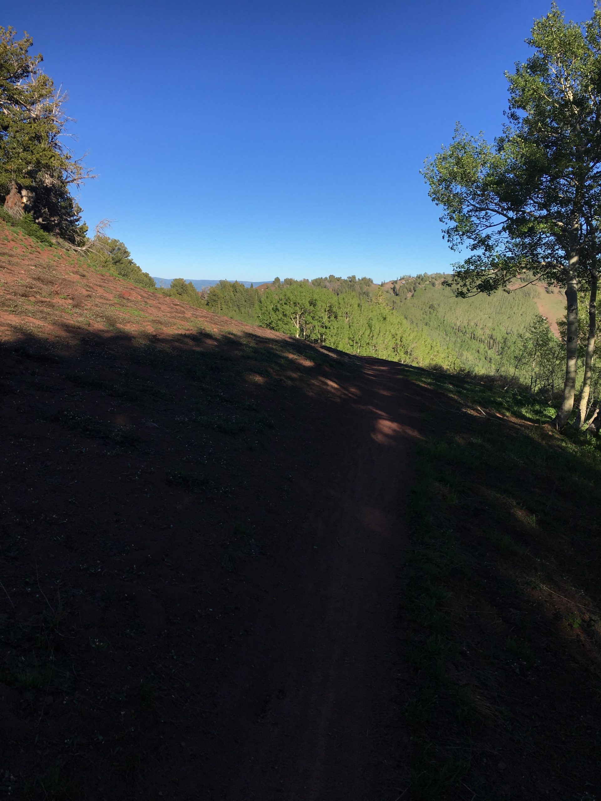 A scenic hiking trail meandering along a hillside surrounded by lush green trees, under a clear blue sky. The sunlight casts shadows on the reddish-brown dirt path, highlighting the natural beauty of the landscape. Scott's Bypass mountain bike trail.