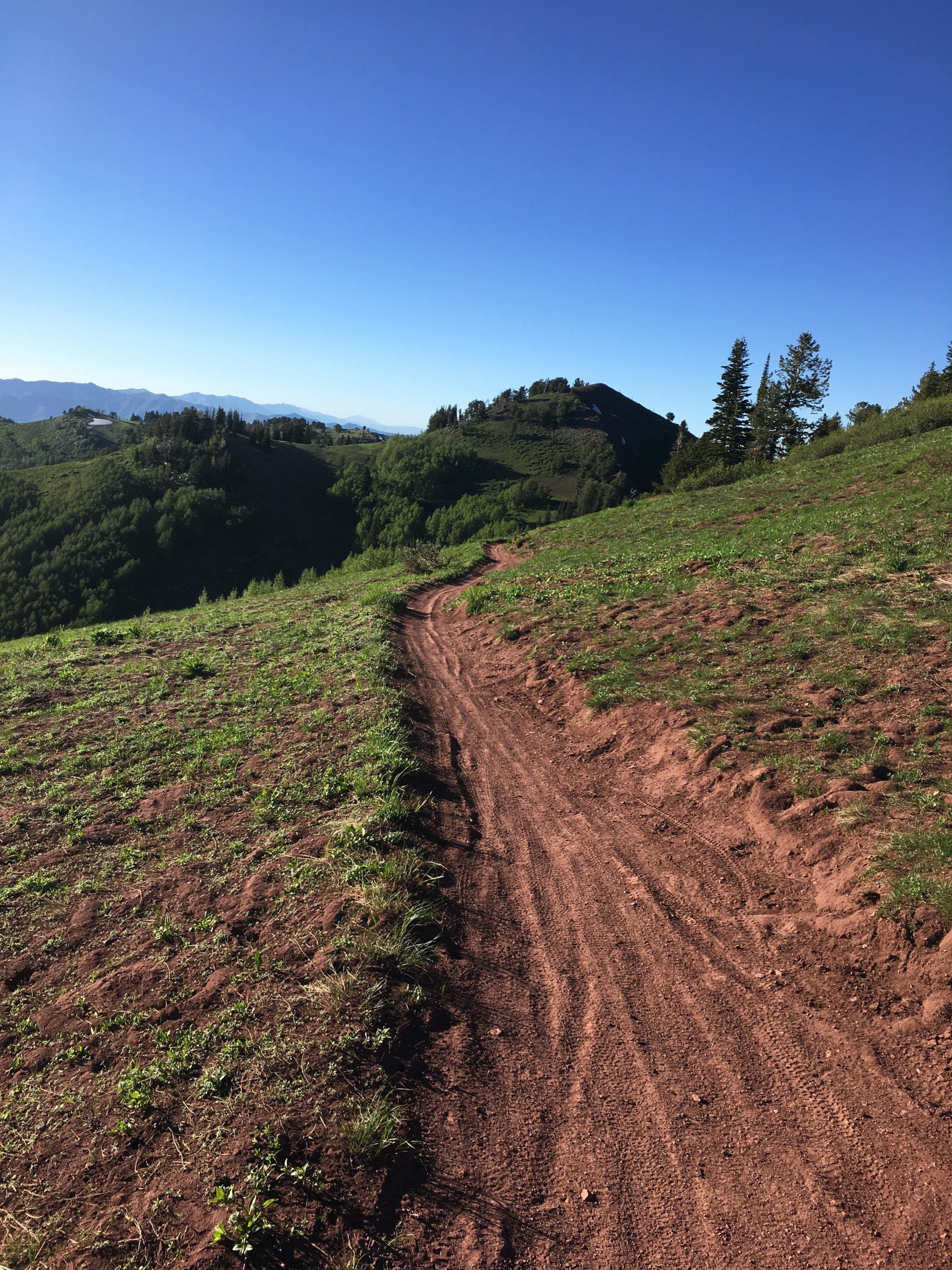 A winding dirt trail leads through a green hillside under a clear blue sky, with mountains visible in the distance. Lush grass and small plants line the path, creating a serene natural landscape. Scott's Bypass mountain bike trail.
