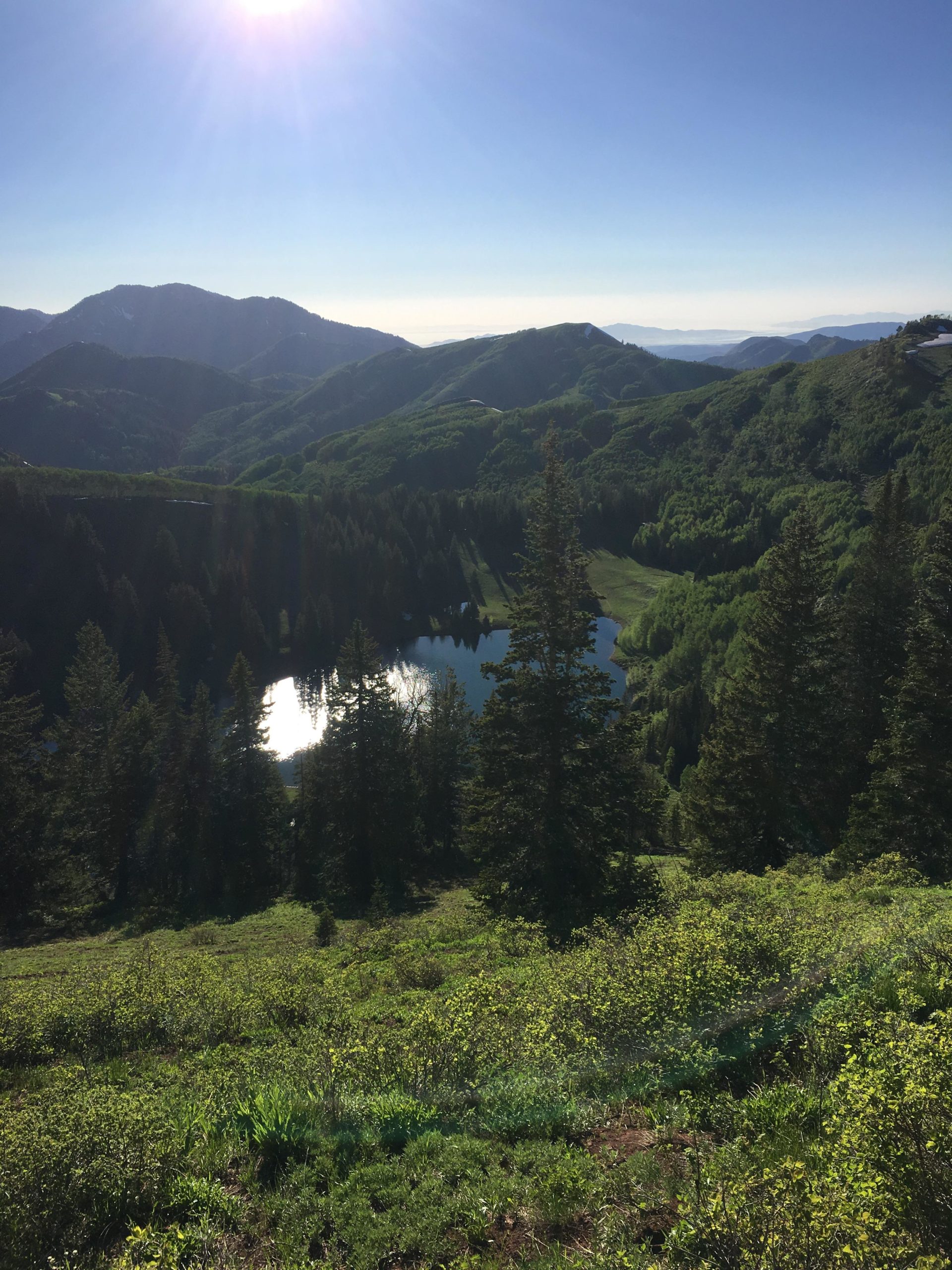 A scenic view of rolling green hills and mountains under a clear blue sky, with the sun shining brightly in the upper left corner. A lake reflects the sunlight amidst the lush greenery and trees in the foreground. Scott's Bypass mountain bike trail.