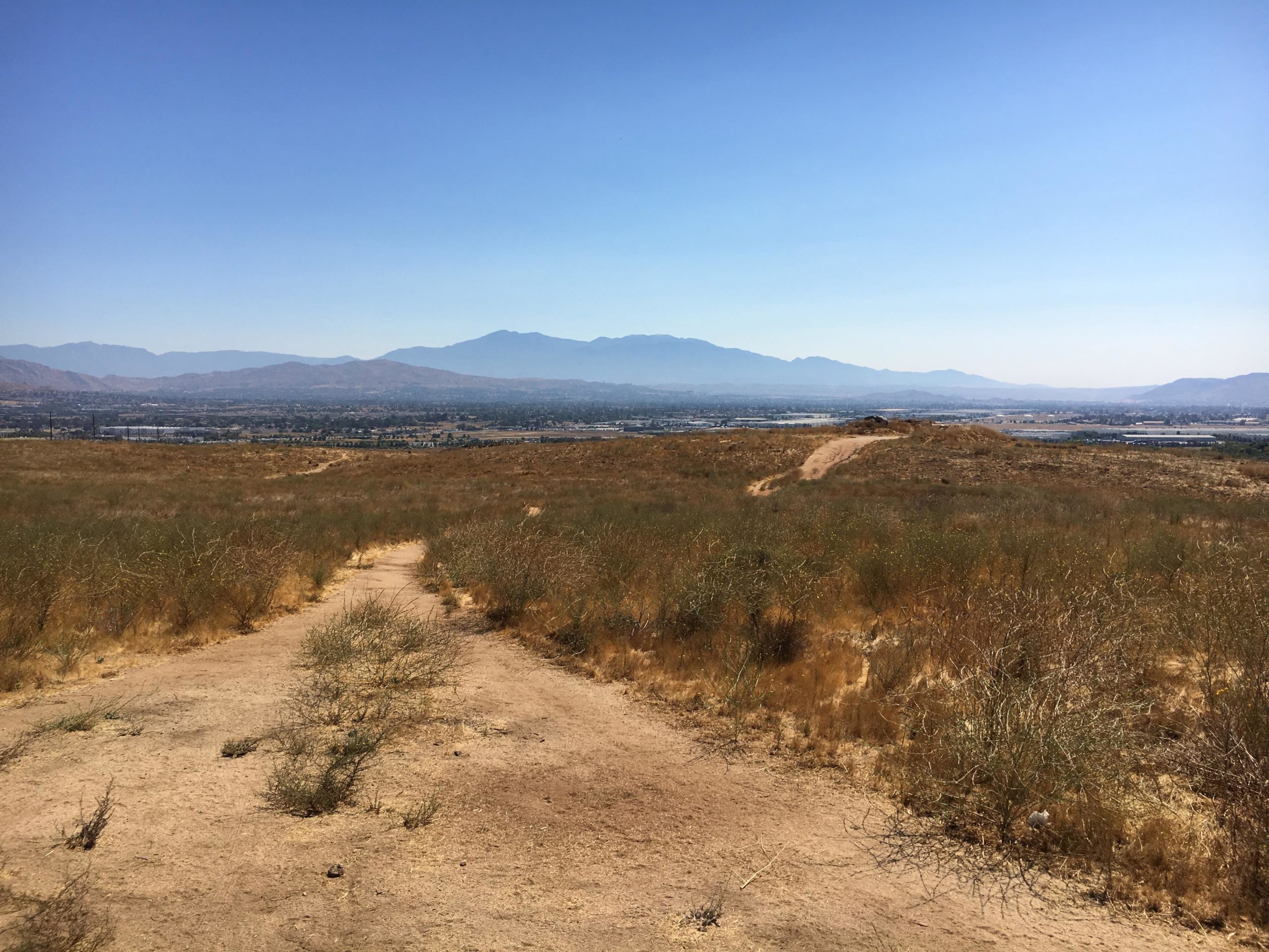 A wide landscape view showing a dry, grassy area leading towards distant mountains under a clear blue sky. The path in the foreground is sandy with sparse vegetation, and the mountainous backdrop features rolling hills fading into the horizon. Sycamore Canyon Park mountain bike trail.
