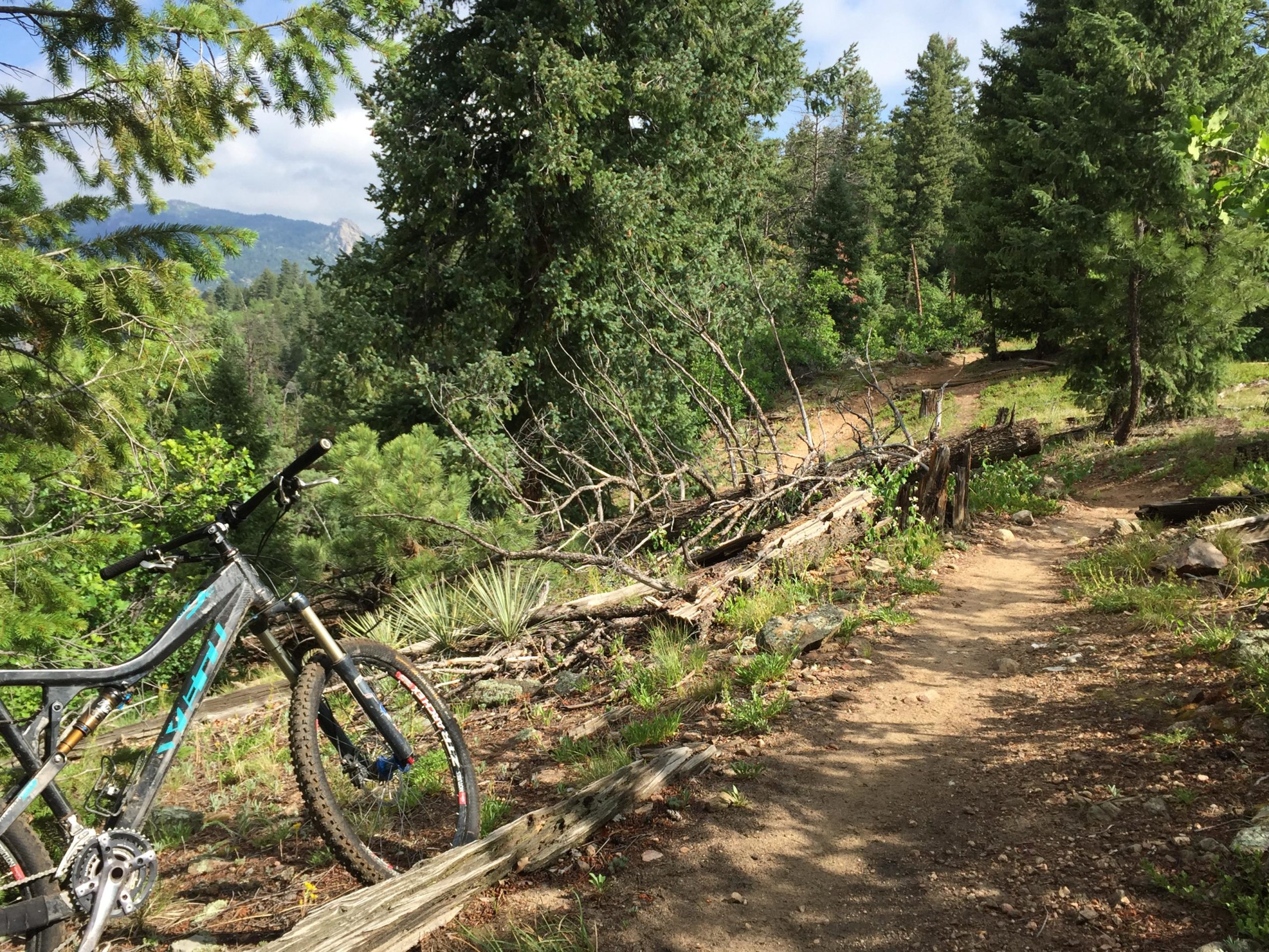 A mountain bike rests on a gravel path surrounded by lush greenery and tall trees. In the background, a mountain peak is visible beneath a partly cloudy sky. Fallen logs and shrubs add natural detail to the trail, which winds through a scenic forest landscape. Indian Creek Loop mountain bike trail.
