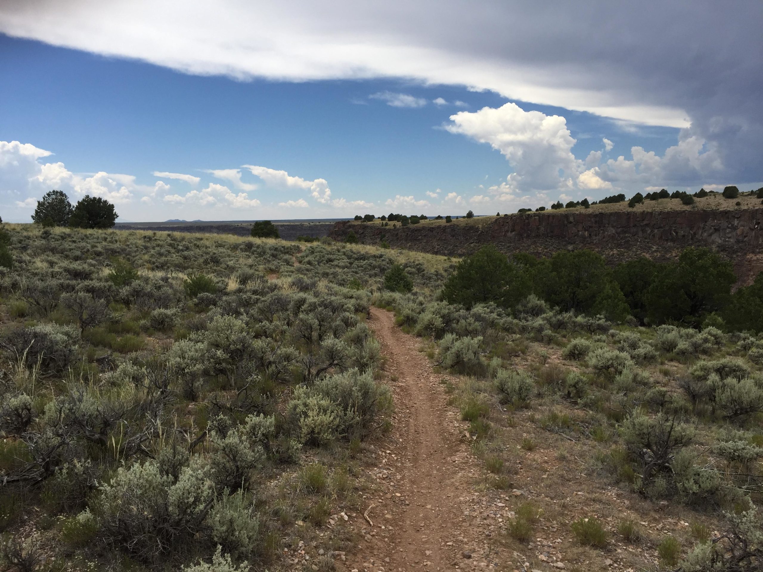 A dirt path winds through a grassy landscape filled with low shrubs and scattered trees, leading toward a distant ridge under a partly cloudy sky. Taos Valley Overlook mountain bike trail.