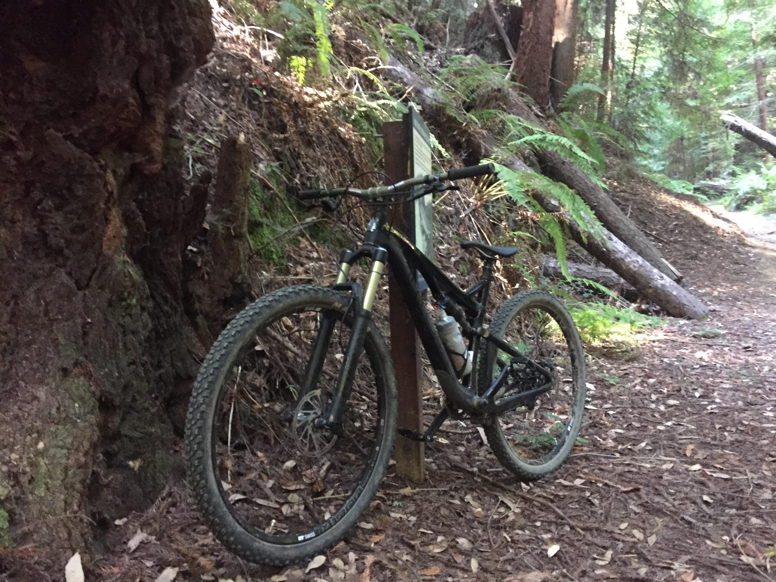 Intense Spider 29: A mountain bike leaning against a wooden trail sign in a lush forest setting, surrounded by tall trees and fallen branches on a dirt path covered with leaves.
