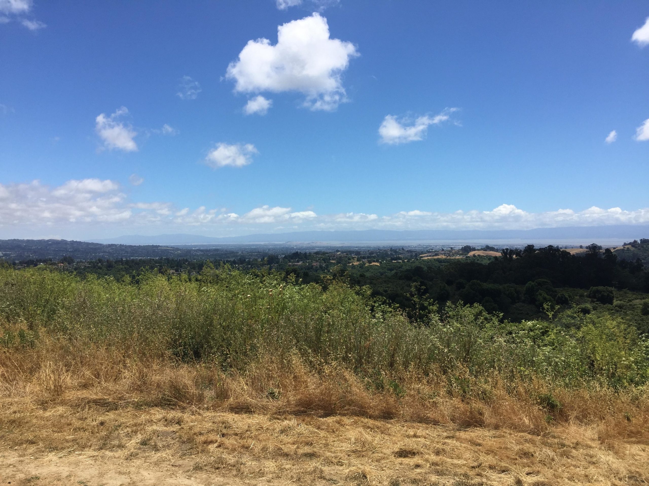A panoramic view of a hilly landscape under a bright blue sky, featuring scattered white clouds. The foreground shows grassy areas with patches of green foliage, while the background reveals distant hills and valleys stretching towards the horizon. Anthony Chabot Regional Park mountain bike trail.