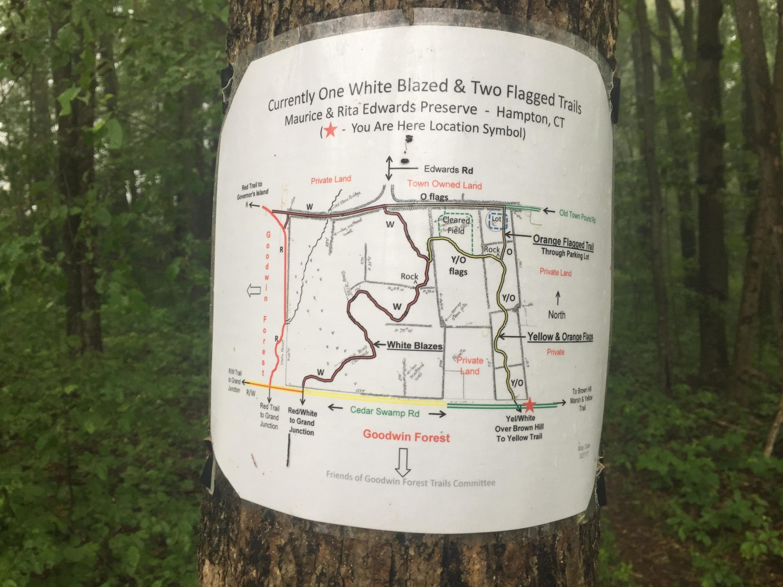 Map of trails in the Maurice & Rita Edwards Preserve in Hampton, CT, indicating one white-blazed trail and two flagged trails, along with marked features and directions for navigation within Goodwin Forest. Air line trail mountain bike trail.