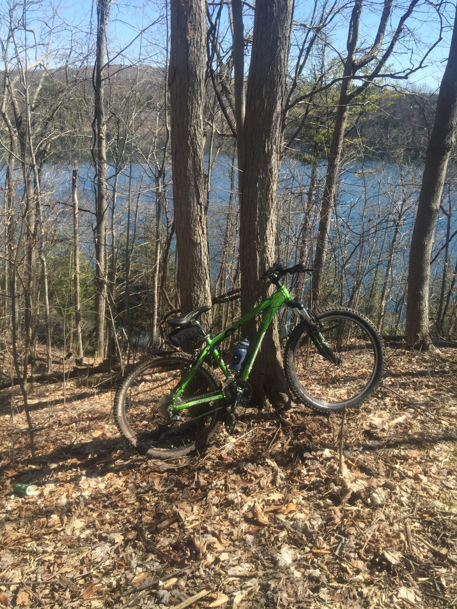 Gary Fisher Wahoo: A green mountain bike leaning against a tree in a wooded area, with a view of a lake in the background. The forest floor is covered in fallen leaves, and the trees are bare, suggesting early spring. Clear blue skies are visible above.