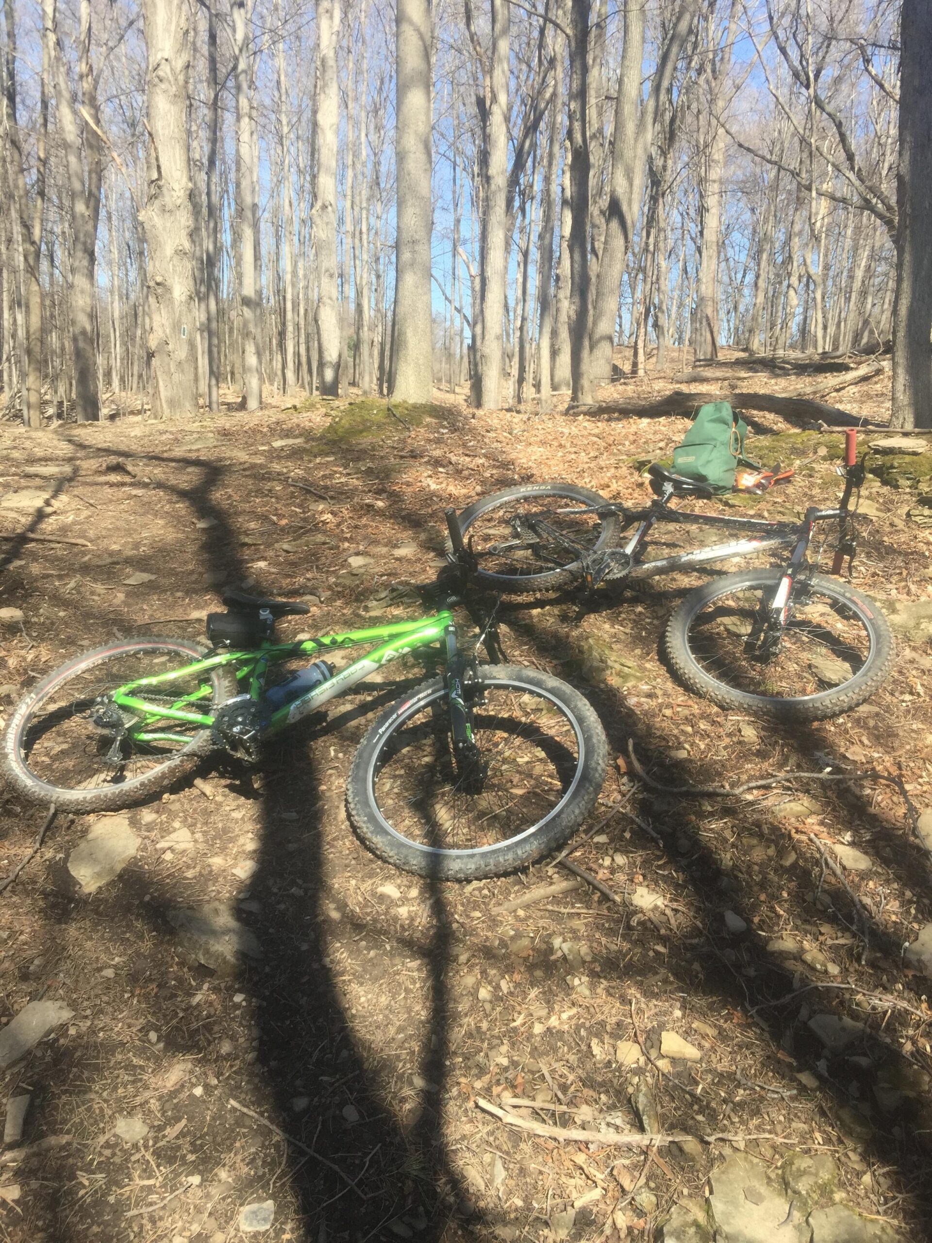 Gary Fisher Wahoo: Two mountain bikes resting on a dirt path in a forested area, surrounded by tall, bare trees and scattered leaves. One bike is green, while the other is black, with a green backpack placed nearby. The scene is illuminated by sunlight and shows a clear blue sky in the background.