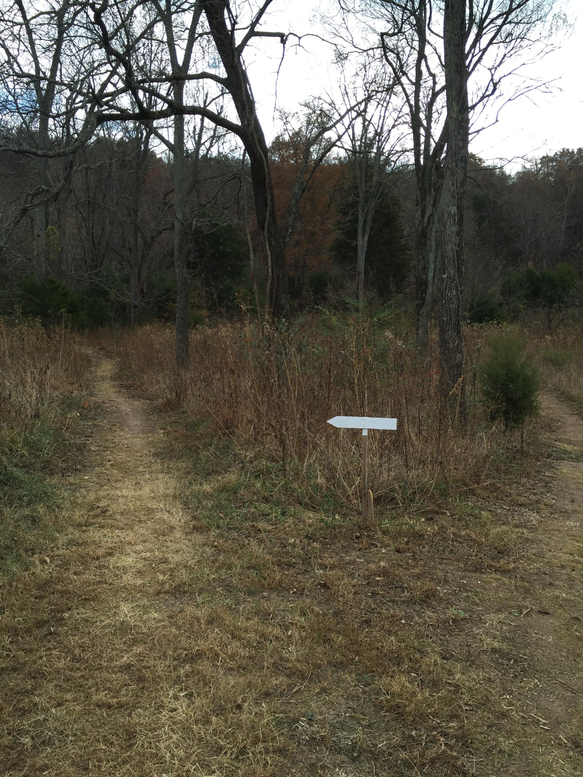 A narrow dirt path diverges in a wooded area with leafless trees and overgrown grass. A white directional sign pointing left is visible along the path, suggesting a choice of routes. The scene conveys a tranquil, natural setting. White County Recreational Complex Trail mountain bike trail.