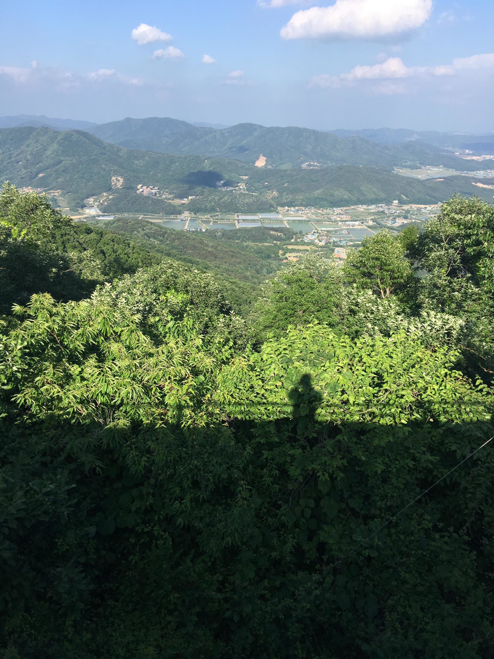 A scenic view from a mountaintop, overlooking lush green hills and valleys under a blue sky with scattered clouds. In the foreground, dense foliage casts a shadow, while the landscape features winding rivers and small settlements in the distance. A person’s shadow is visible on the edge of the vegetation. Koreas Whistler mountain bike trail.