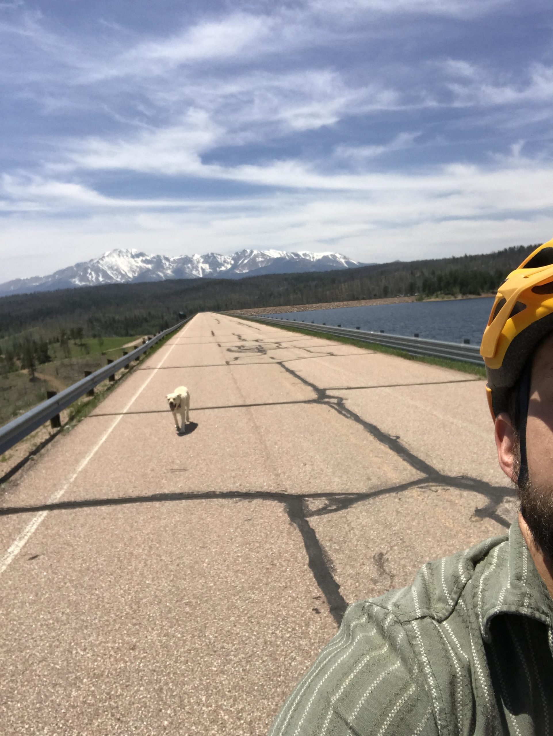 A person wearing a yellow helmet stands on a cracked road with a mountain landscape in the background, while a white dog walks towards them. A body of water is visible on the left side, under a partly cloudy sky. Rampart Reservoir mountain bike trail.