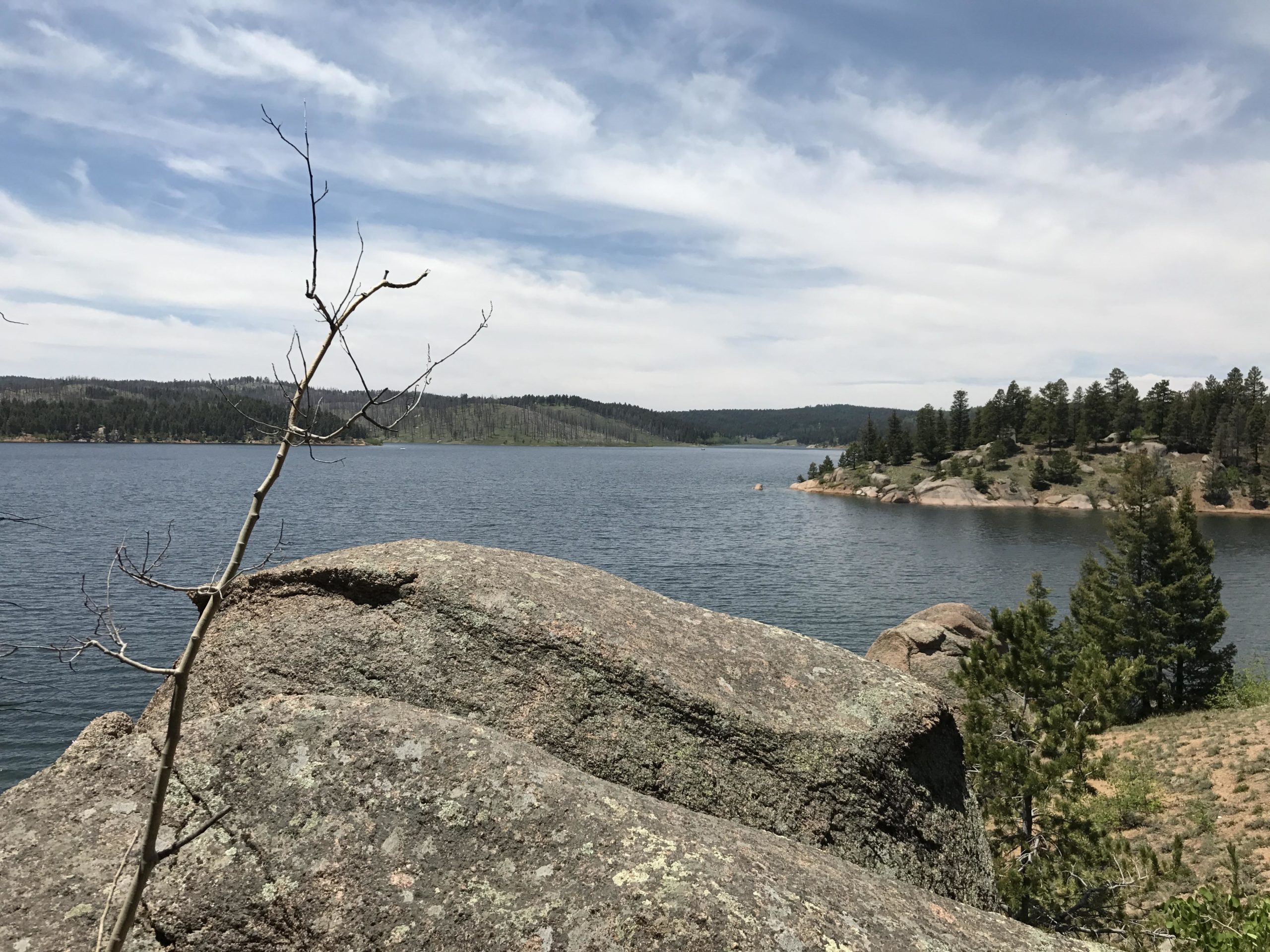 A serene view of a lakeside landscape, featuring a rocky foreground with a dry branch extending upward. The calm water reflects the sky and surrounding pine forest. In the distance, rolling hills and additional rocky terrain can be seen under a partly cloudy sky. Rampart Reservoir mountain bike trail.