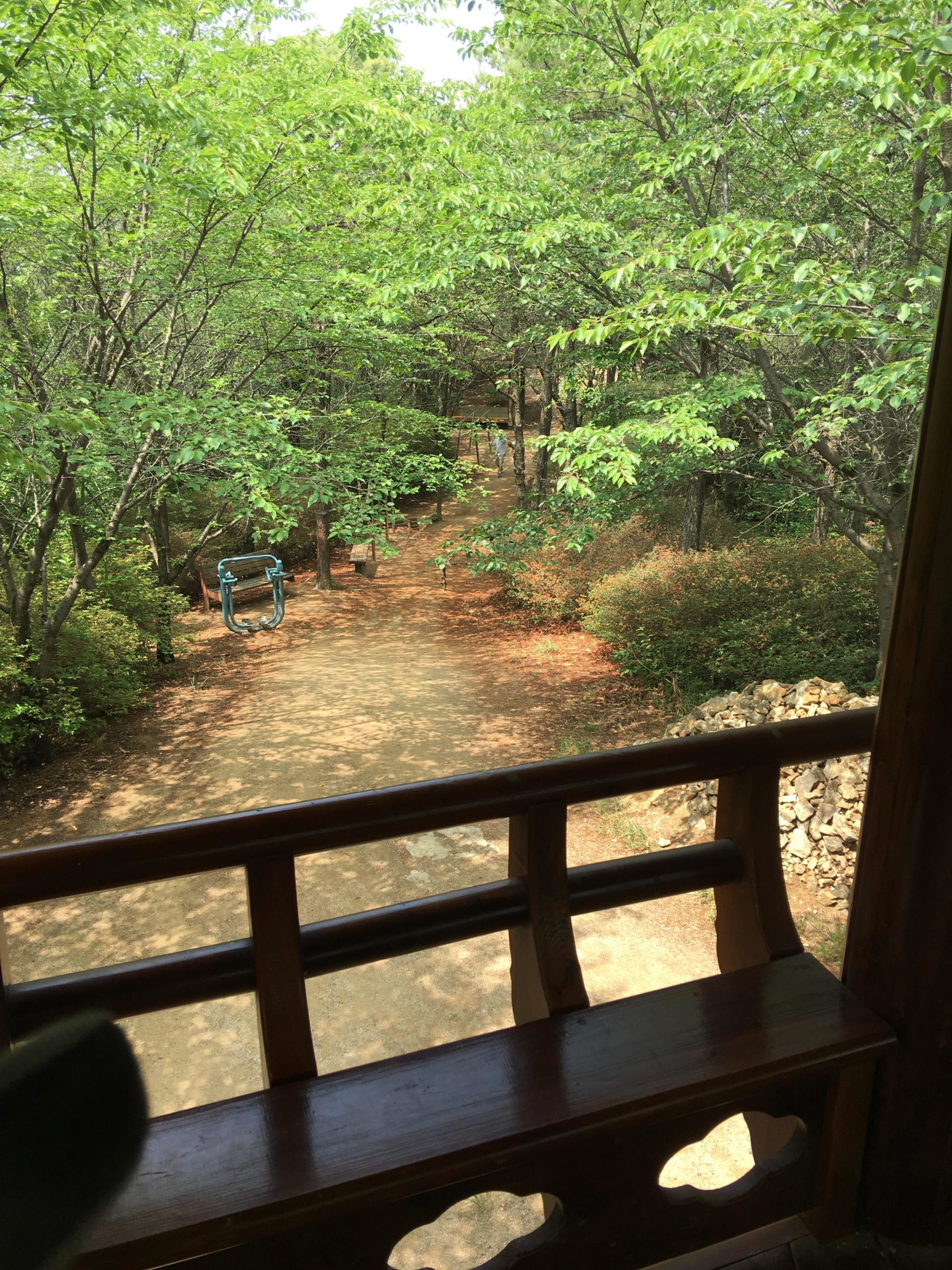 A view from a wooden balcony overlooking a peaceful, shaded pathway surrounded by lush green trees. The ground path leads through the trees, with benches and a swing visible in the distance, inviting relaxation and nature enjoyment. Sunlight filters through the leaves, creating a serene atmosphere. Buraksan mountain bike trail.