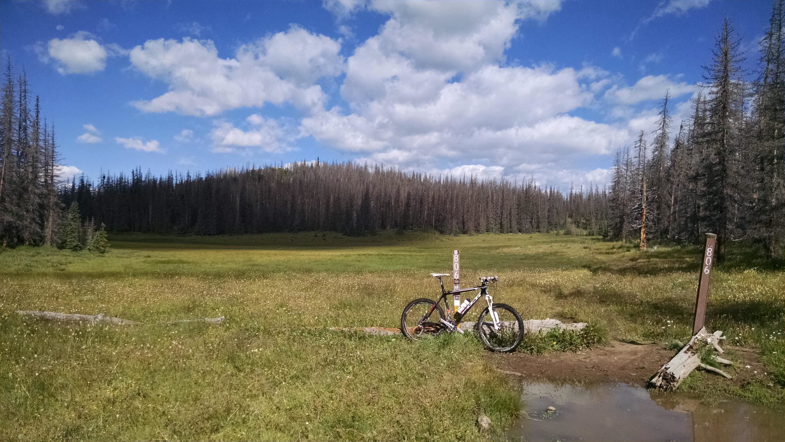 A mountain bike rests on a grassy area near a trail sign, surrounded by a meadow with wildflowers and patches of water. In the background, a forest of dead trees contrasts with the vibrant greenery and blue sky dotted with white clouds. Deep Creek Trail mountain bike trail.