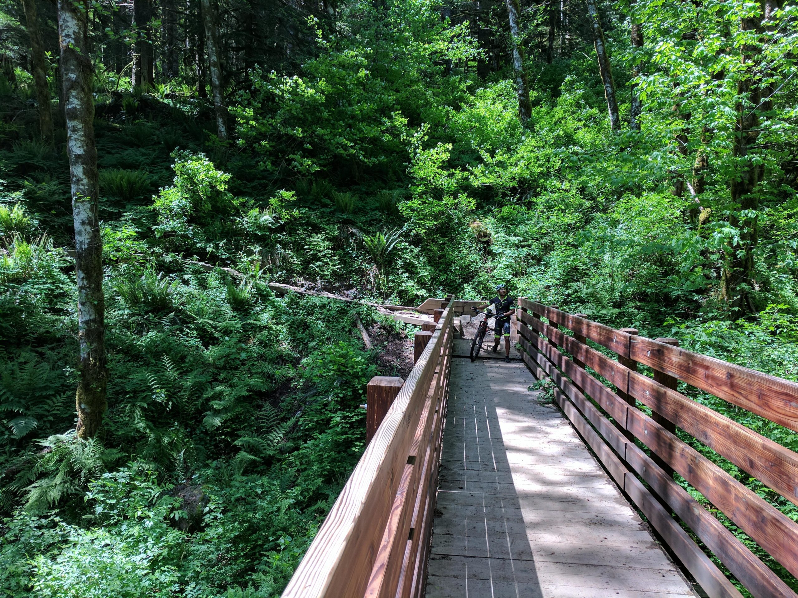 A wooden bridge surrounded by lush green foliage and trees, with a person standing next to a bicycle on the bridge. The sunlight filters through the leaves, creating a serene and natural atmosphere in a forested area. Sandy Ridge mountain bike trail.