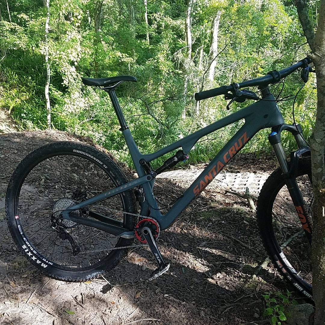 Santa Cruz Tallboy Carbon: A gray Santa Cruz mountain bike parked on a dirt path surrounded by lush greenery. The bike features thick tires, a prominent front suspension, and is positioned near a tree. Sunlight filters through the leaves, illuminating the scene.