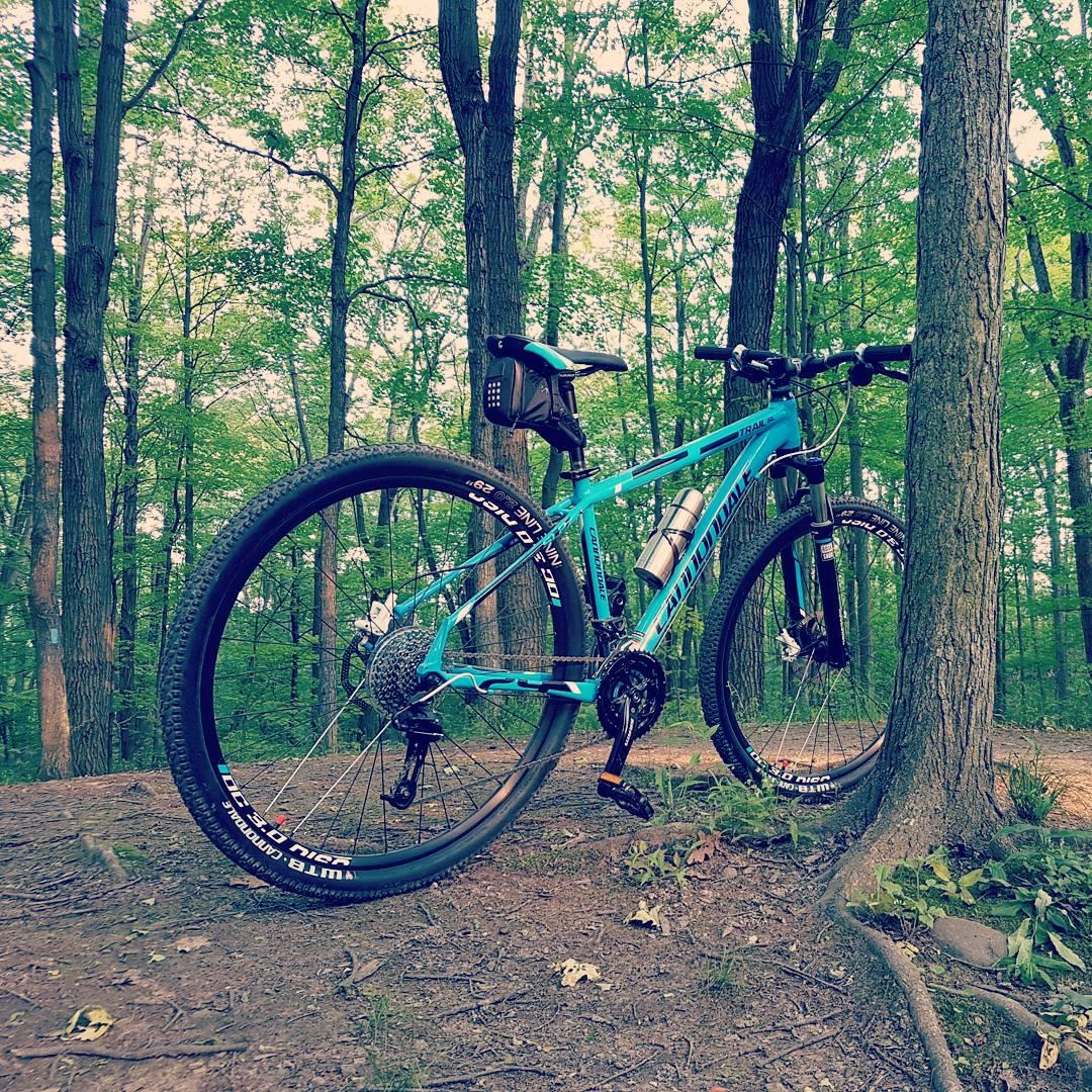 Cannondale Trail SL 29 2: A blue mountain bike leaning against a tree in a dense forest, surrounded by green foliage and dirt trails. The bike features prominent branding, wide tires designed for off-road terrain, and is positioned on a natural ground surface with twigs and leaves.