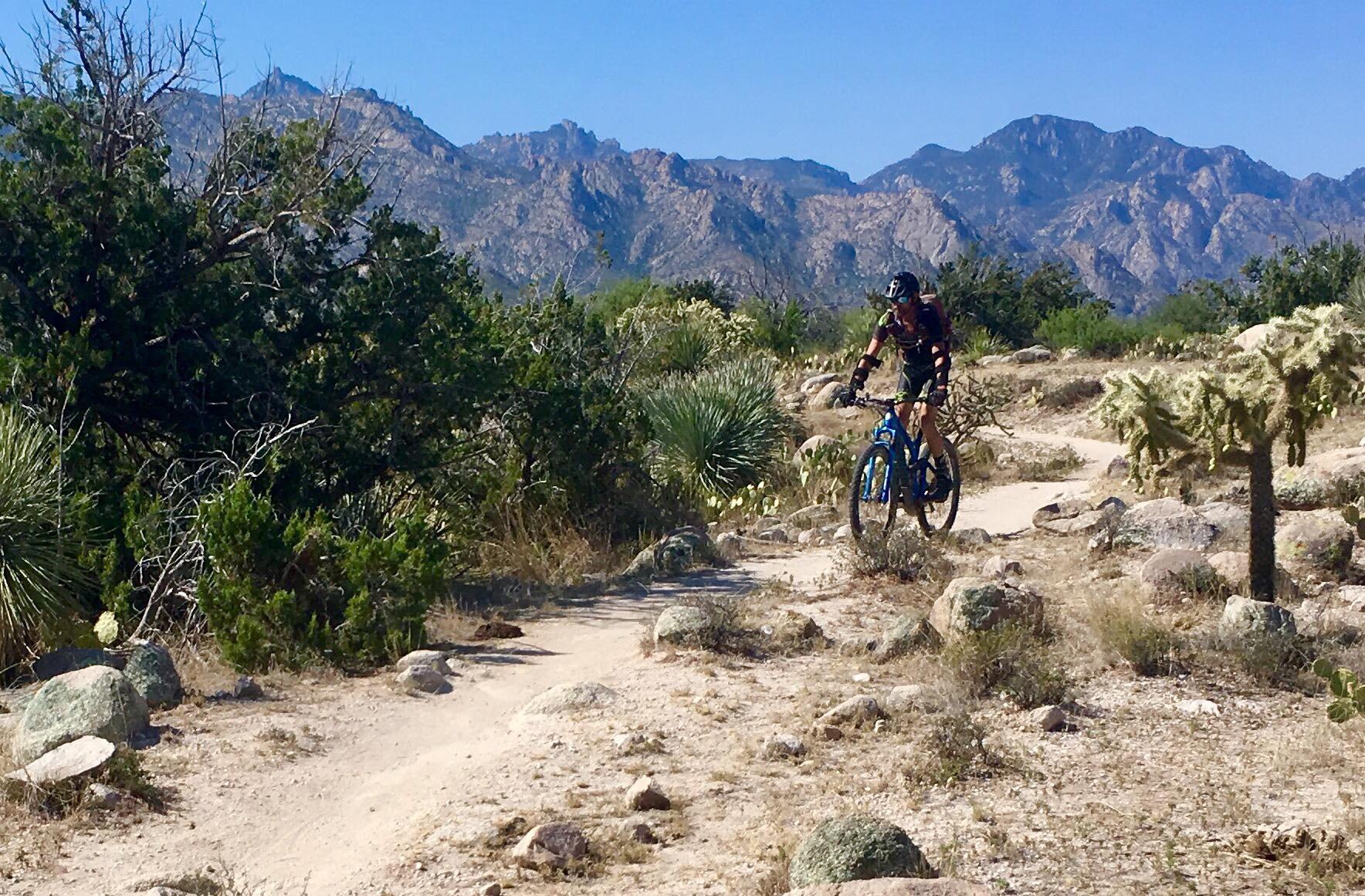 A person riding a blue mountain bike along a dirt trail in a dry, rocky landscape, surrounded by bushes and cacti, with rugged mountains in the background under a clear blue sky. 50-year Trail / Golder Ranch mountain bike trail.