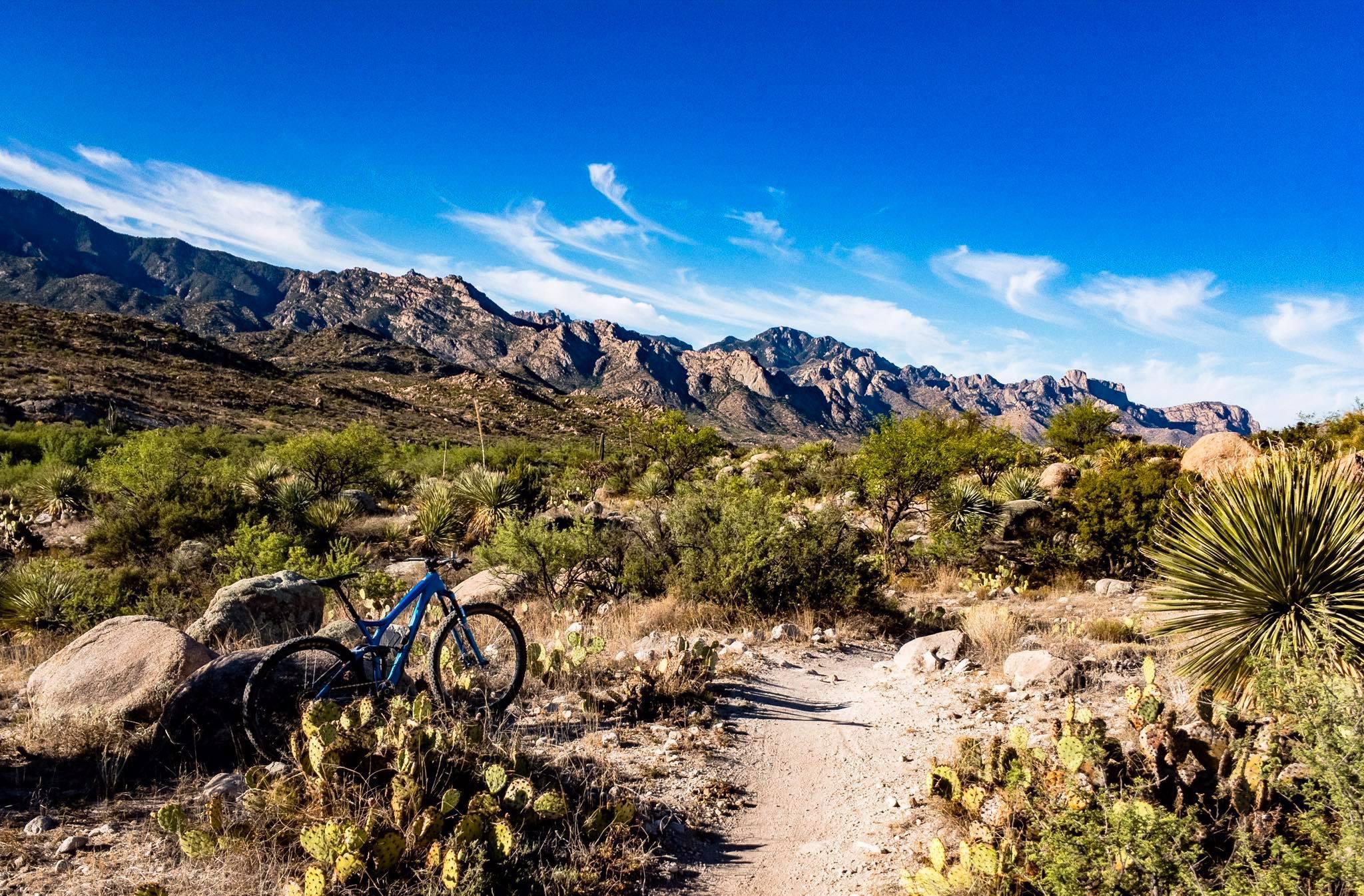 A blue mountain bike rests against a large rock on a dirt trail surrounded by desert vegetation, including cacti and shrubs, with a backdrop of rugged mountains under a bright blue sky with wispy clouds. 50-year Trail / Golder Ranch mountain bike trail.