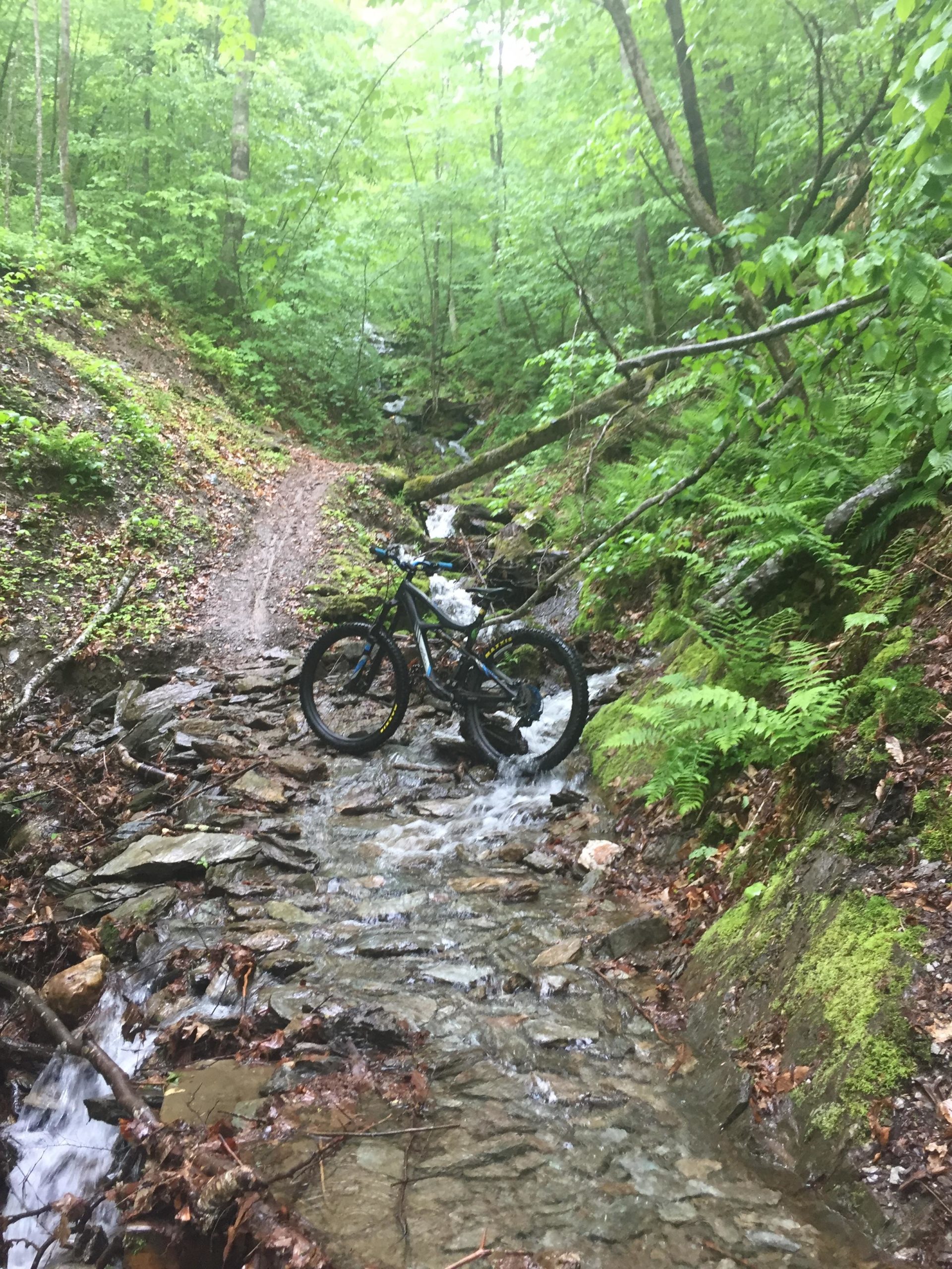 A mountain bike resting beside a small stream on a rocky trail surrounded by lush greenery and trees. The path is partially covered with water and foliage, indicating a natural and rugged environment. Green Mountain Trails mountain bike trail.