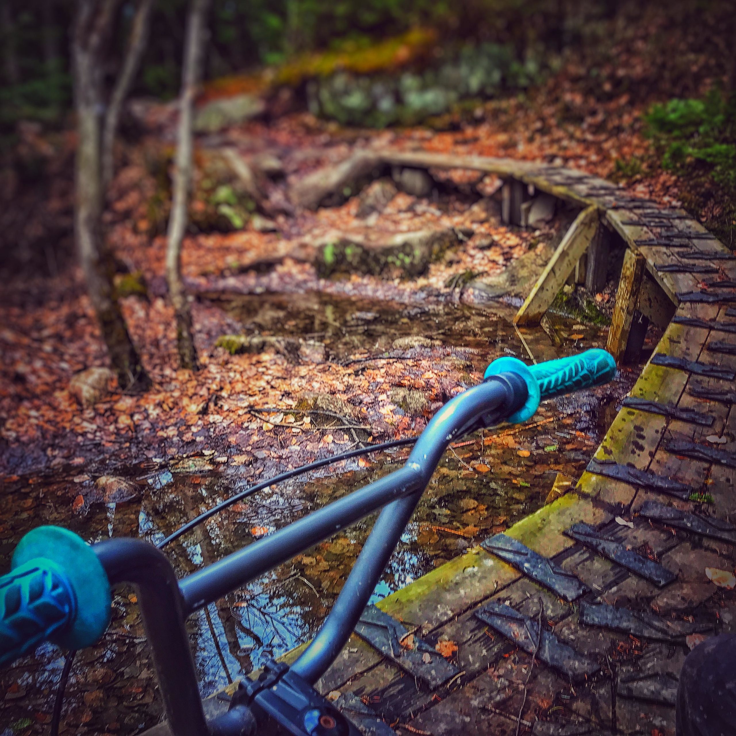 A close-up view from a mountain bike handlebar, overlooking a narrow wooden bridge winding through a forested area covered in autumn leaves. A small stream runs alongside the path, creating a serene, natural setting perfect for an adventurous ride. Panoramique mountain bike trail.