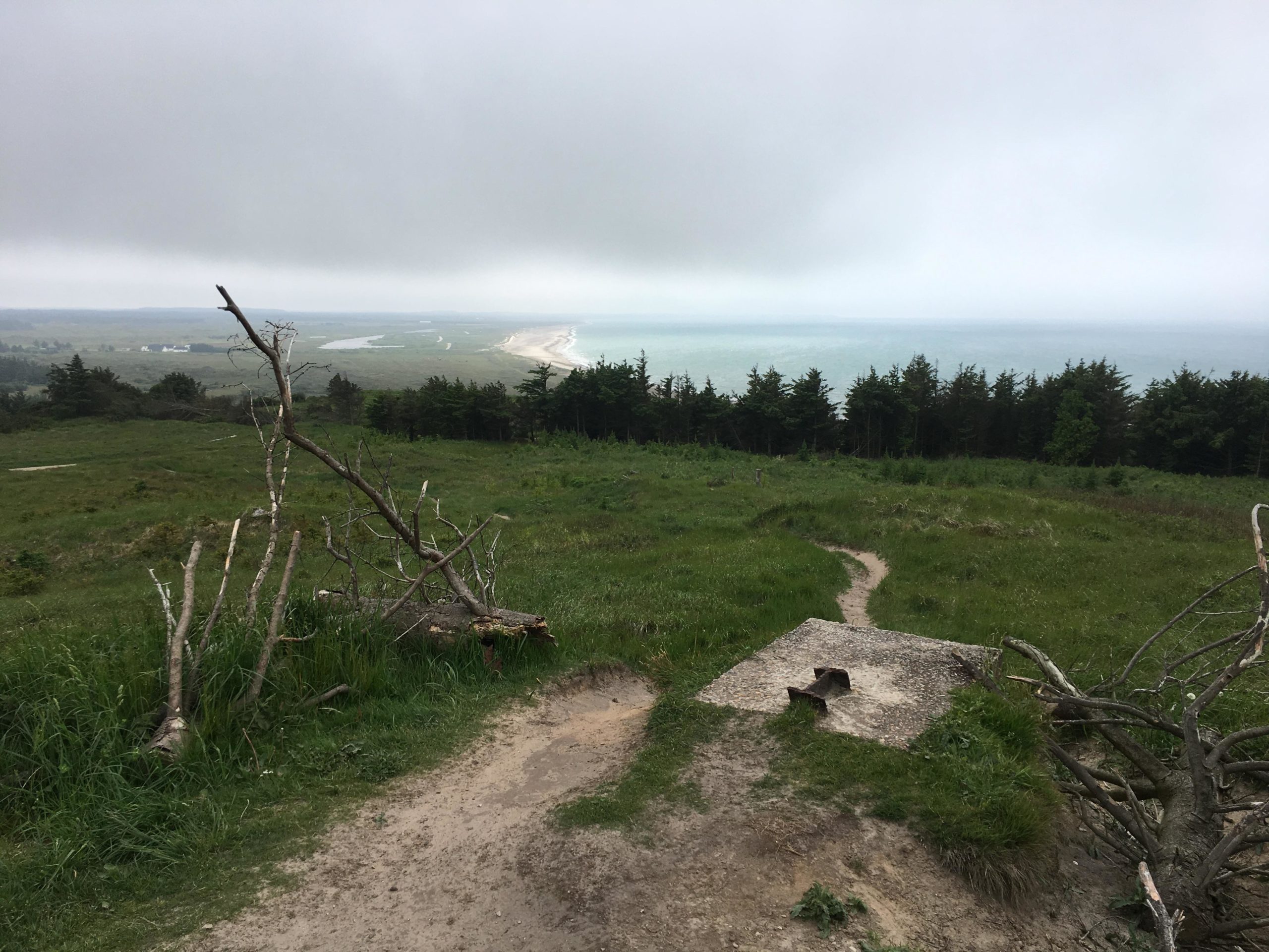 A scenic view from a hillside overlooking a winding river leading to a sandy beach, under a cloudy sky. In the foreground, there are fallen branches and a rocky surface, while patches of green grass and trees create a natural landscape in the background. Svinkløv og Kollerup mountain bike trail.
