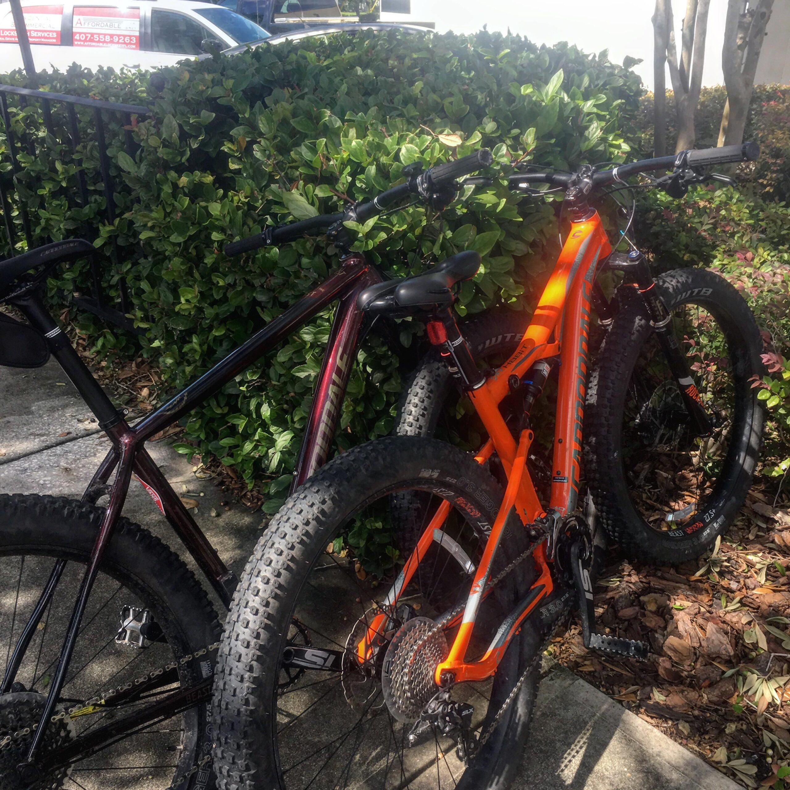 Cannondale Bad Habit: Two mountain bikes parked next to a lush green bush, with the bike on the left featuring a dark frame and the bike on the right showcasing a vibrant orange frame. The scene is set on a paved surface, partially covered in fallen leaves.