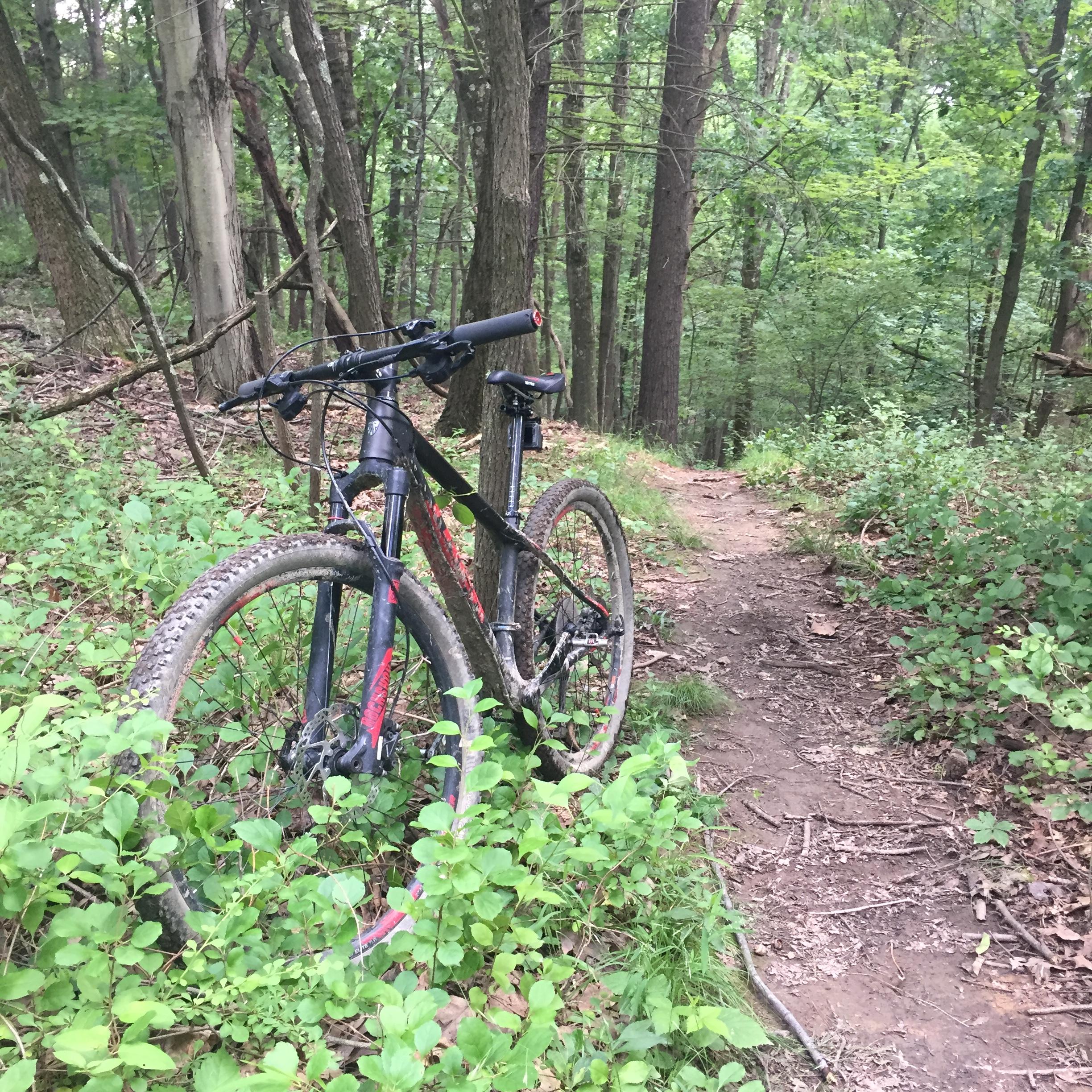 A black mountain bike stands beside a dirt trail in a lush green forest, surrounded by trees and vegetation. The bike is resting against a tree, with dirt and mud on its tires, indicating recent use on a rugged path. North Park mountain bike trail.