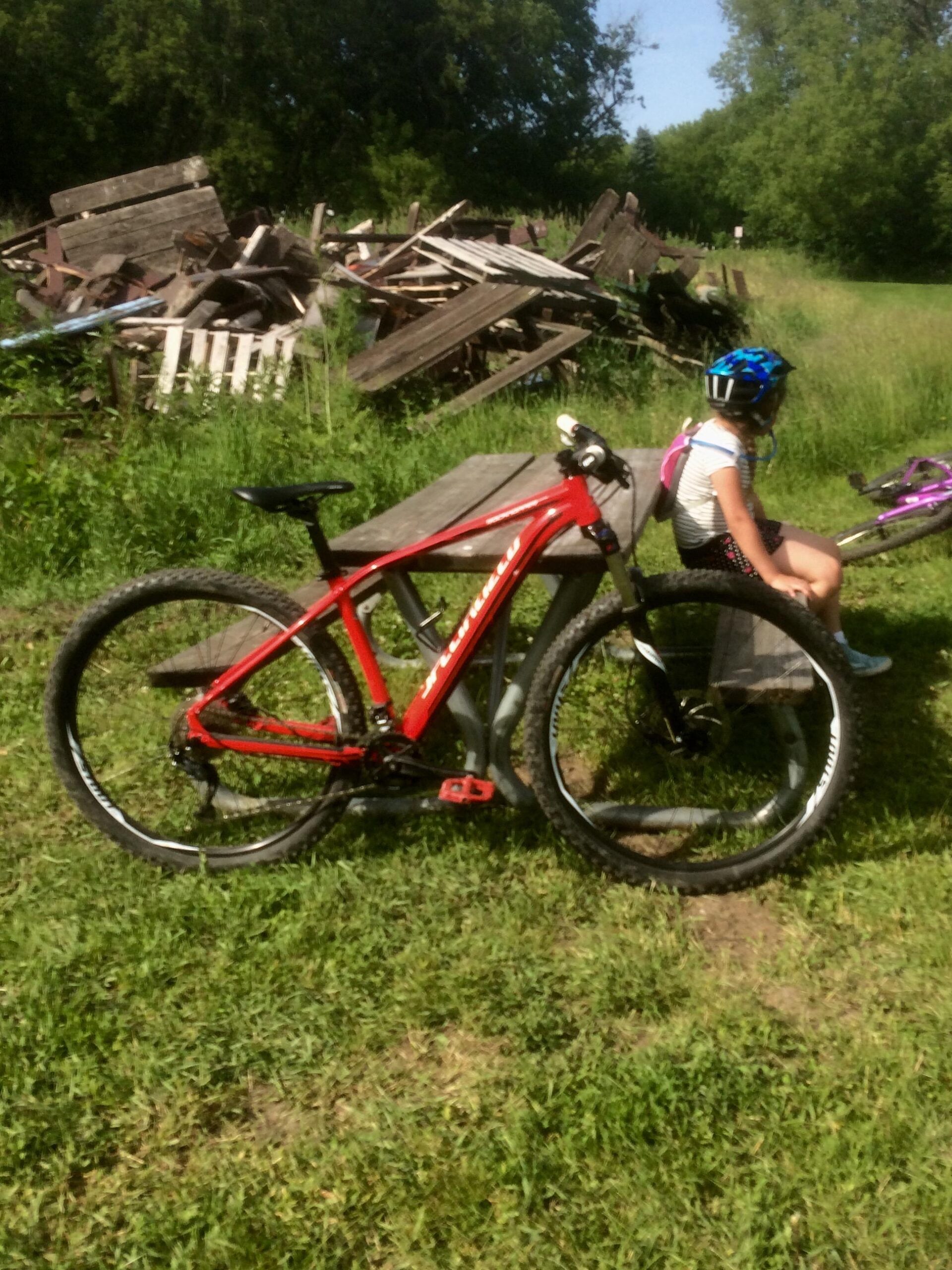 Specialized Rockhopper Comp 29: A red mountain bike is parked next to a wooden bench in a grassy area. In the background, a pile of wooden debris and overgrown grass is visible. A child in a blue helmet sits on the bench, facing away from the camera, with a purple bike leaning against the bench beside her. The scene is sunny and depicts a casual outdoor setting.