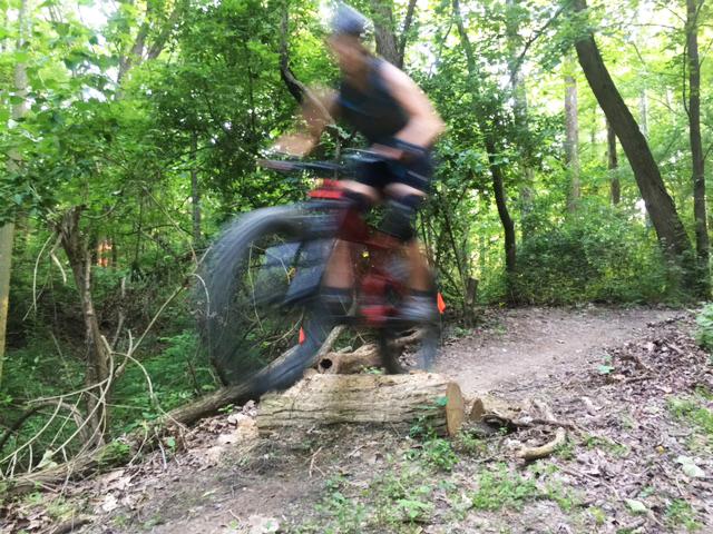 A blurred image of a cyclist riding a mountain bike over a log on a dirt trail, surrounded by lush green trees and foliage in a forested area. KA-BAR mountain bike trail.