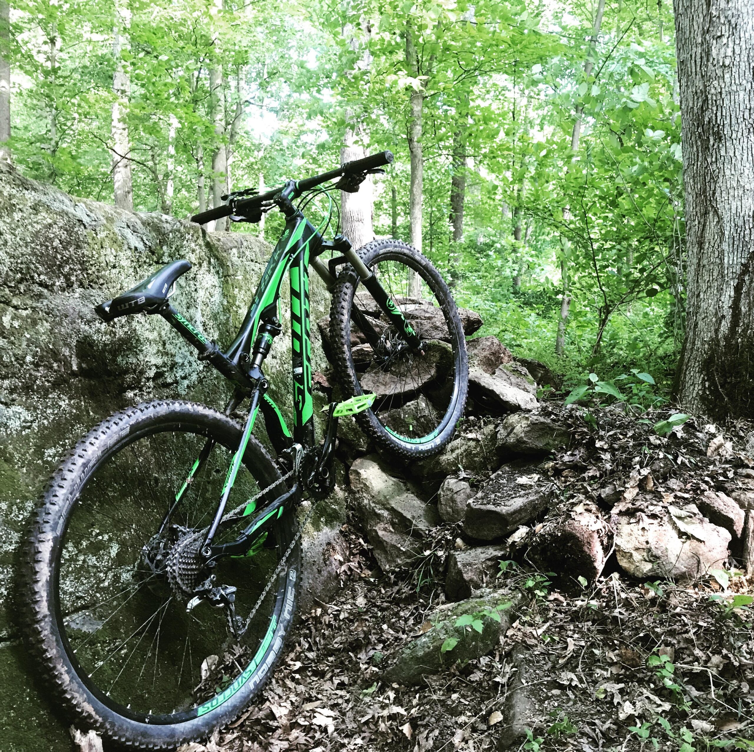 Scott Spark 950: A green and black mountain bike is leaning against a rock formation in a lush, green forest setting. The bike is positioned prominently with its front wheel resting on the ground and the back wheel elevated, showcasing the rugged terrain. Surrounding vegetation includes trees and leafy underbrush, creating a natural and adventurous backdrop.