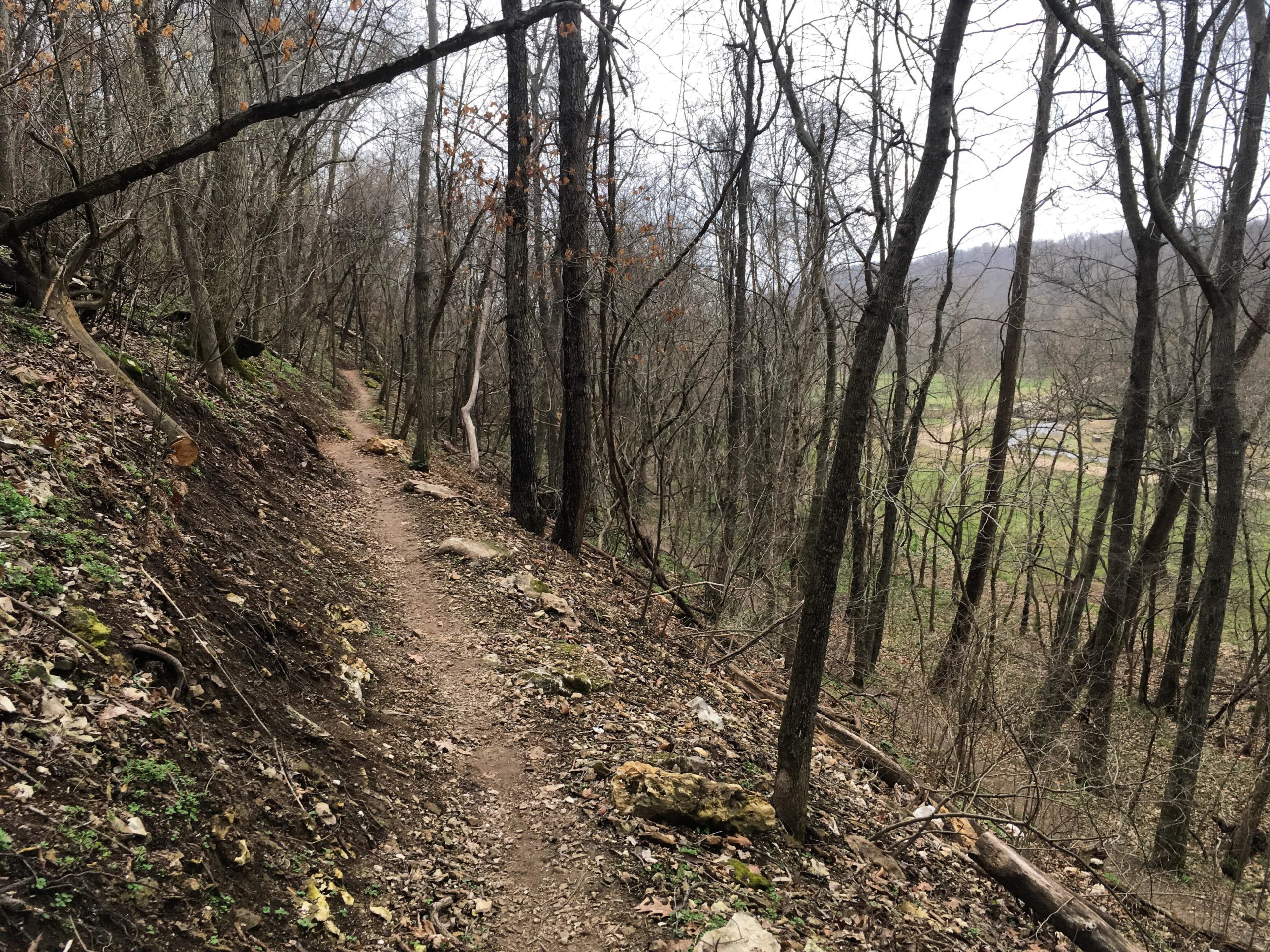 A winding dirt trail through a wooded area, lined with bare trees and scattered rocks. The scene is set in a hilly landscape with green fields visible in the distance under a cloudy sky. Slaughter Pen Trail mountain bike trail.